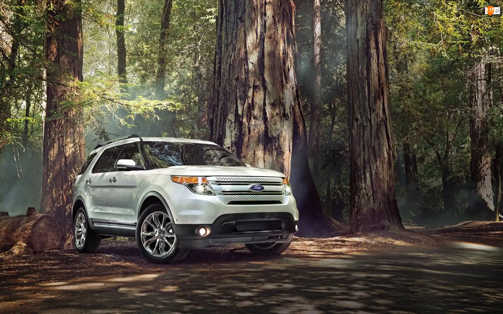 Las, Ford Explorer