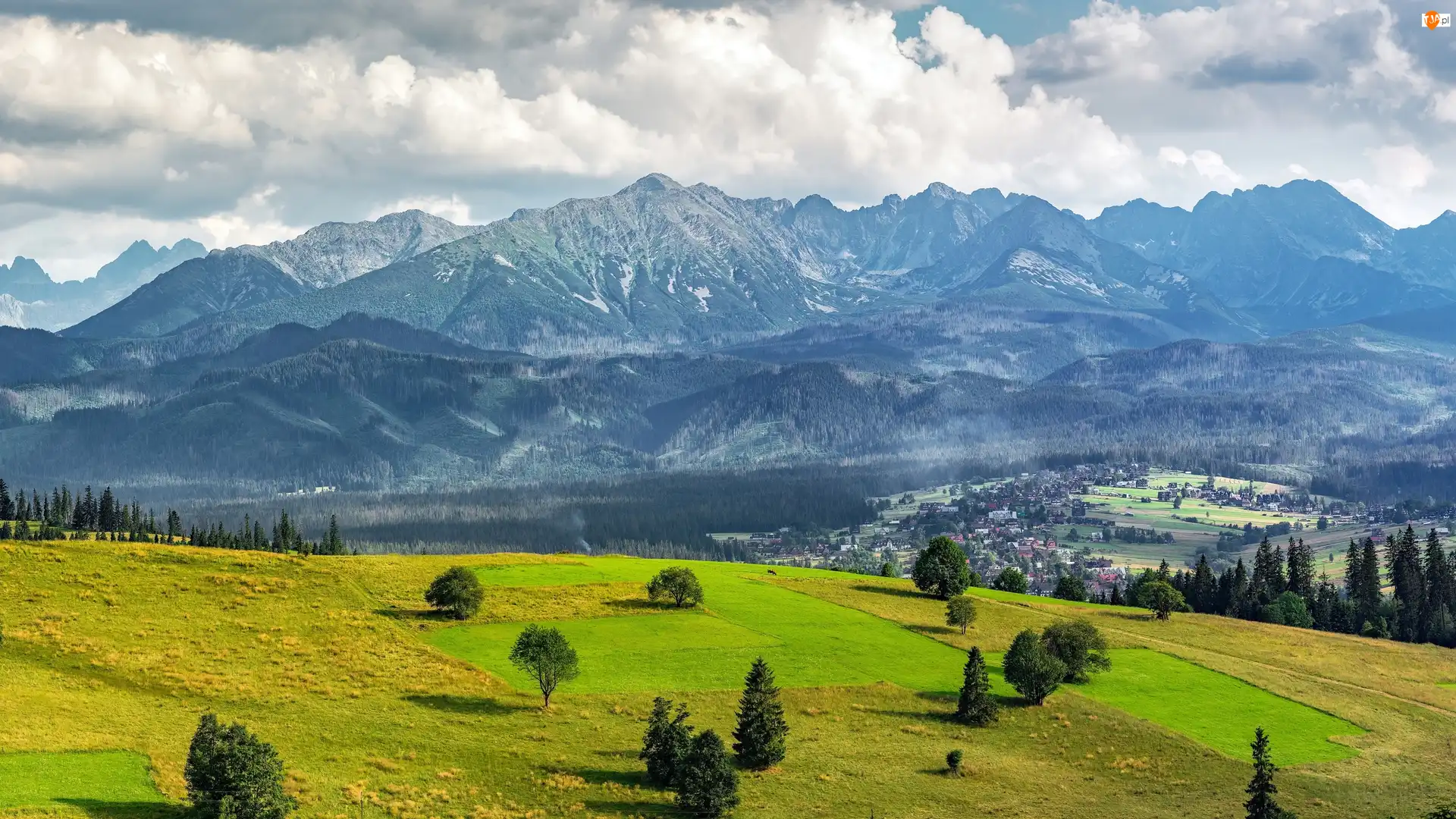 Tatry, Góry, Dolina, Polska, Drzewa, Zakopane