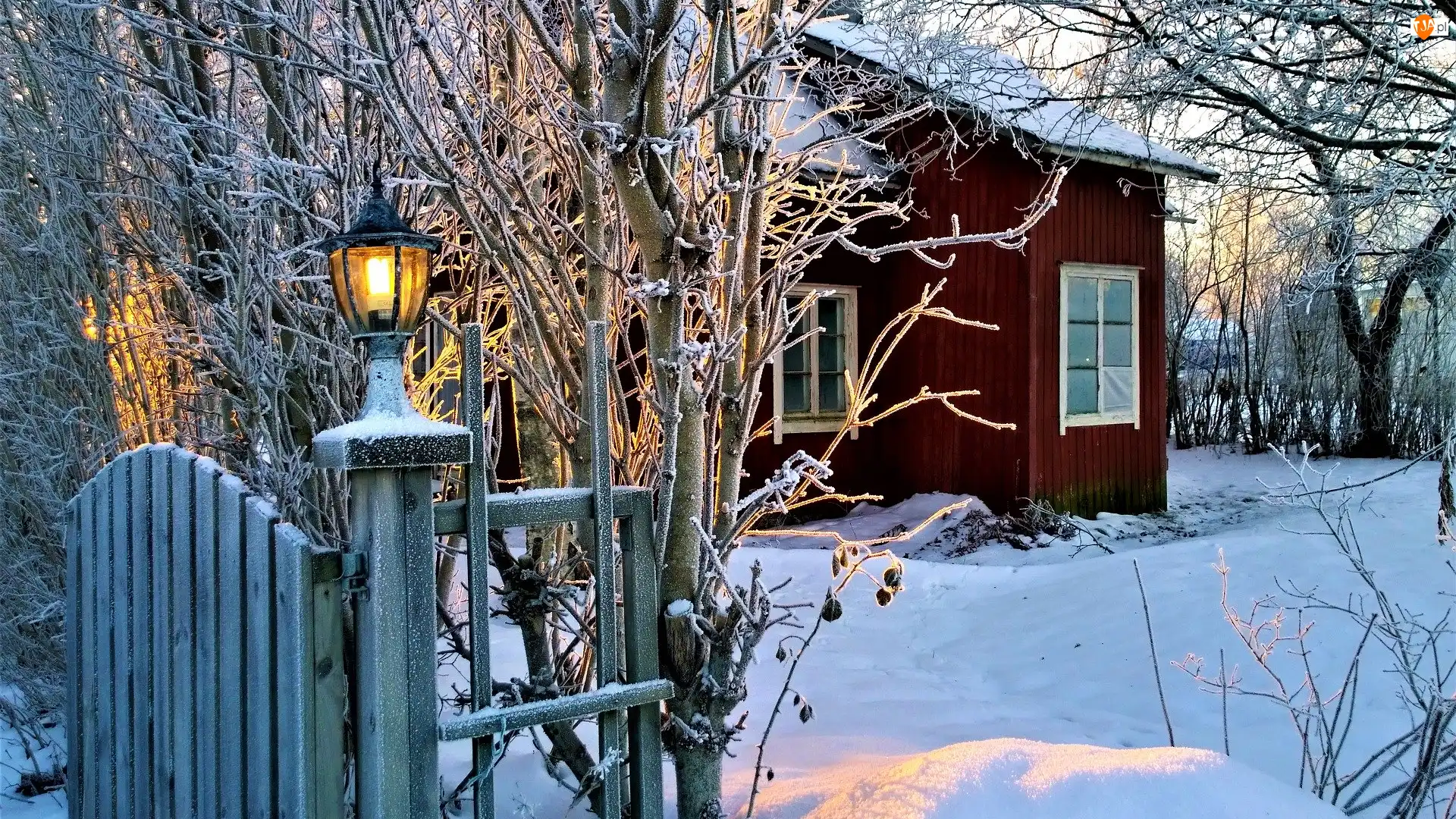 Brama, Zima, Drzewa, Oświetlona, Śnieg, Płot, Lampa, Domek