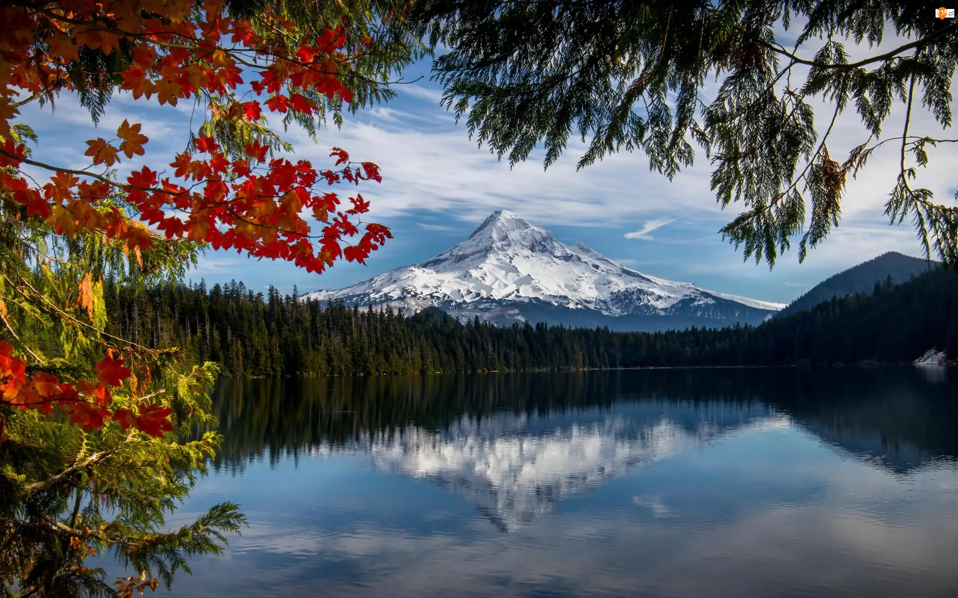 Stan Oregon, Stany Zjednoczone, Stratowulkan Mount Hood, Drzewa, Góra, Jezioro Lost Lake