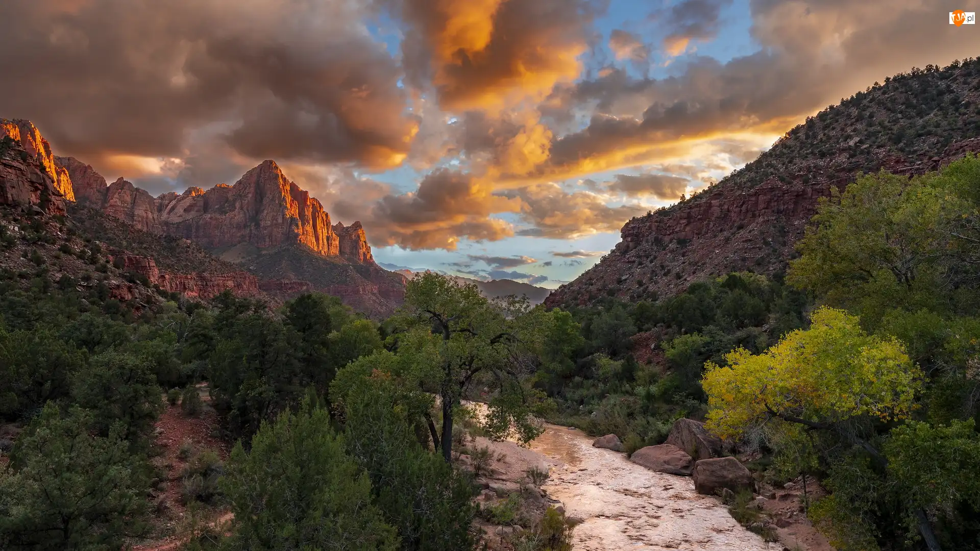 Rzeka, Stany Zjednoczone, Góry, Virgin River, Stan Utah, Góra Watchman, Drzewa, Park Narodowy Zion