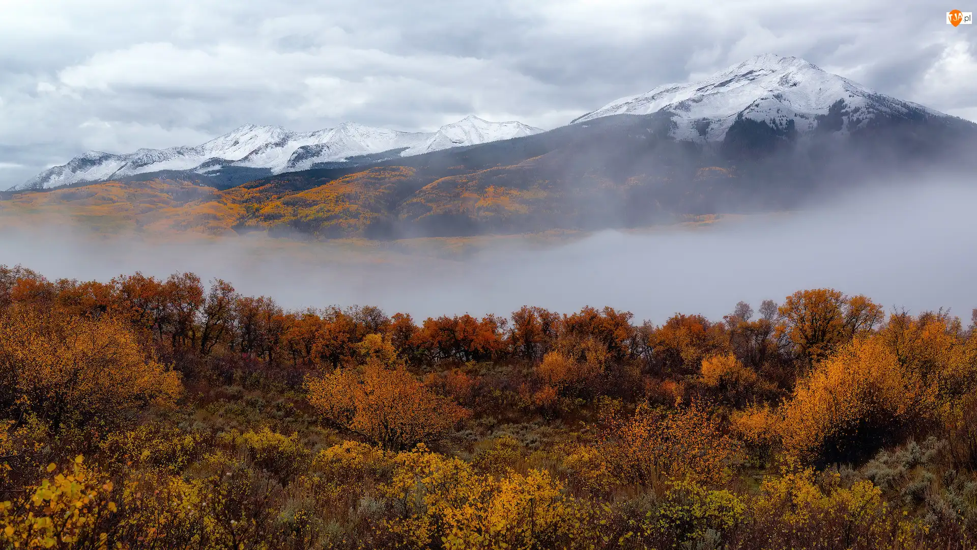 Drzewa, Stany Zjednoczone, Jesień, Mgła, Rocky Mountains, Lasy, Roślinność, Góry Skaliste