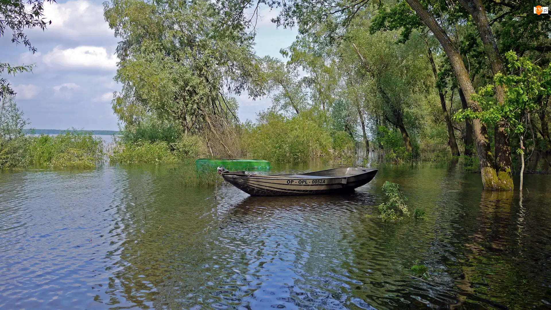 Drzewa, Łódka, Jezioro