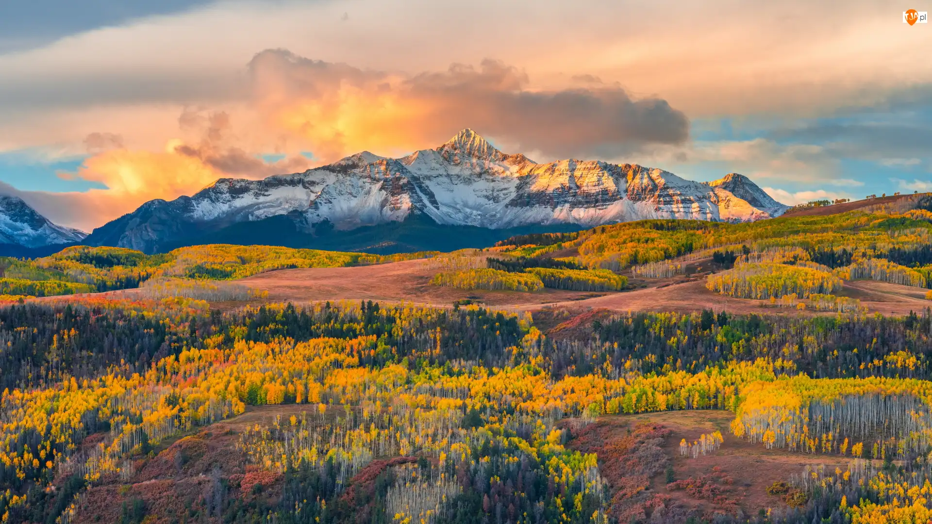 Stany Zjednoczone, Las, Kolorado, Pożółkłe, Drzewa, Jesień, Góry, Telluride, San Juan Mountains