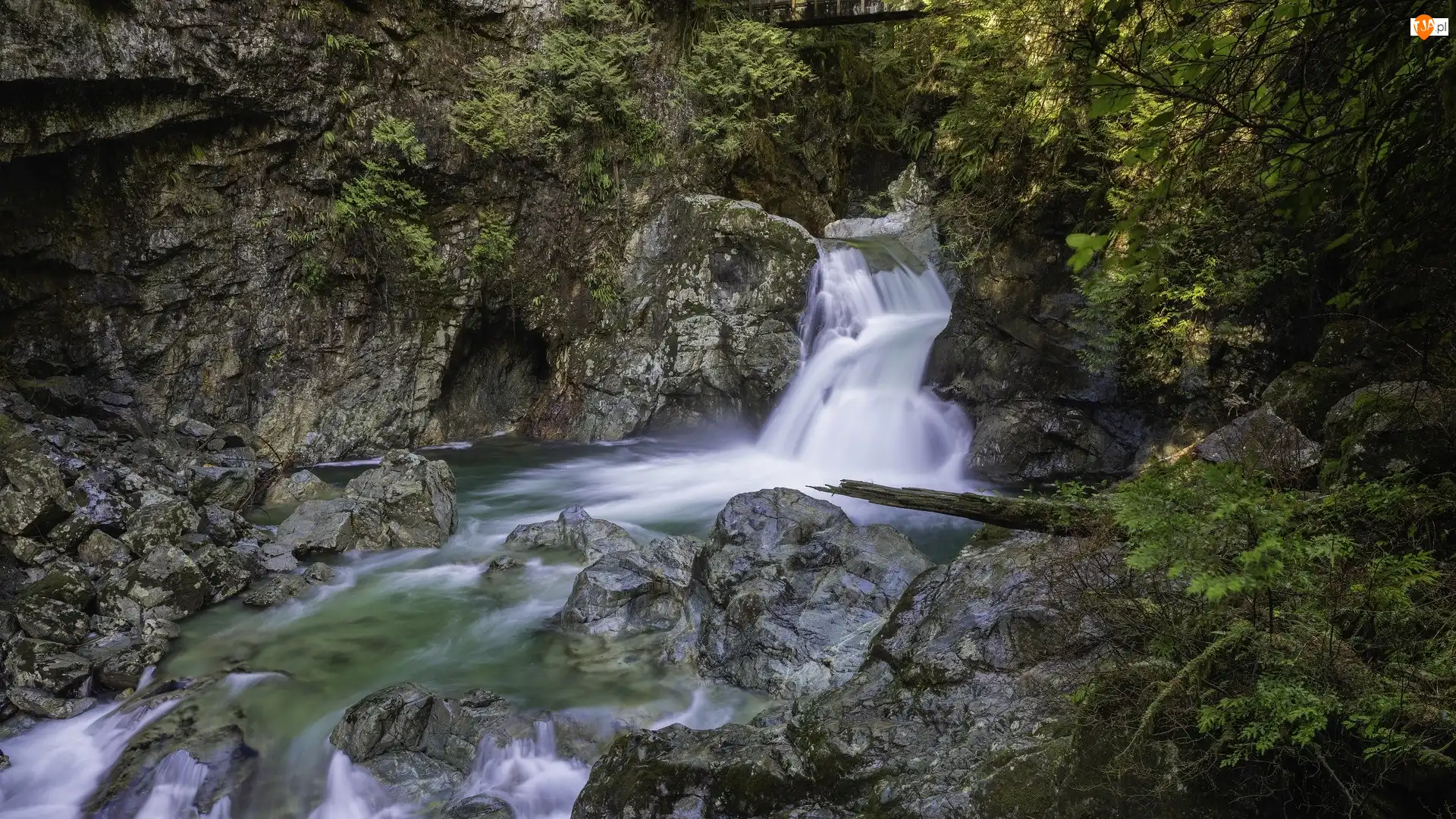 Twin Falls, Rzeka, Park Narodowy Yoho, Wodospad, Kanada, Rośliny, Skały