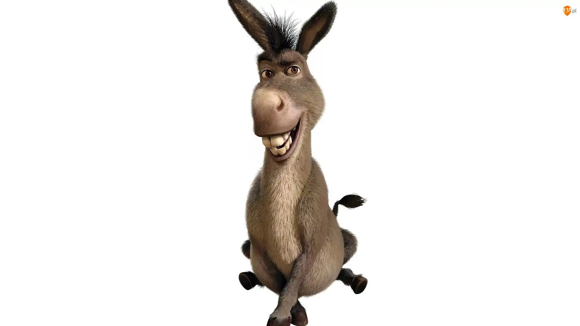 Osioł, Shrek