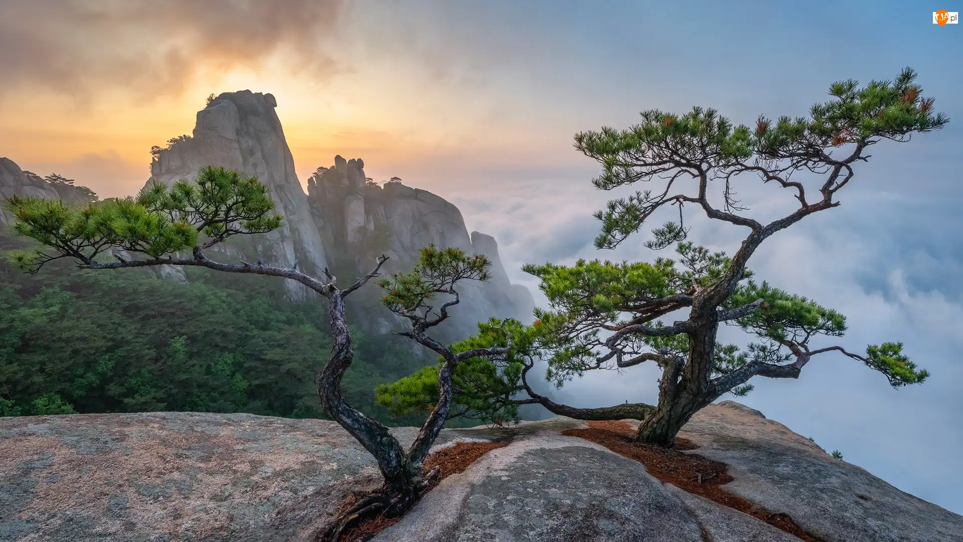 Park Narodowy Bukhansan, Góry, Słoneczne światło, Prowincja Gyeonggi, Skały, Mgła, Korea Południowa, Sosny