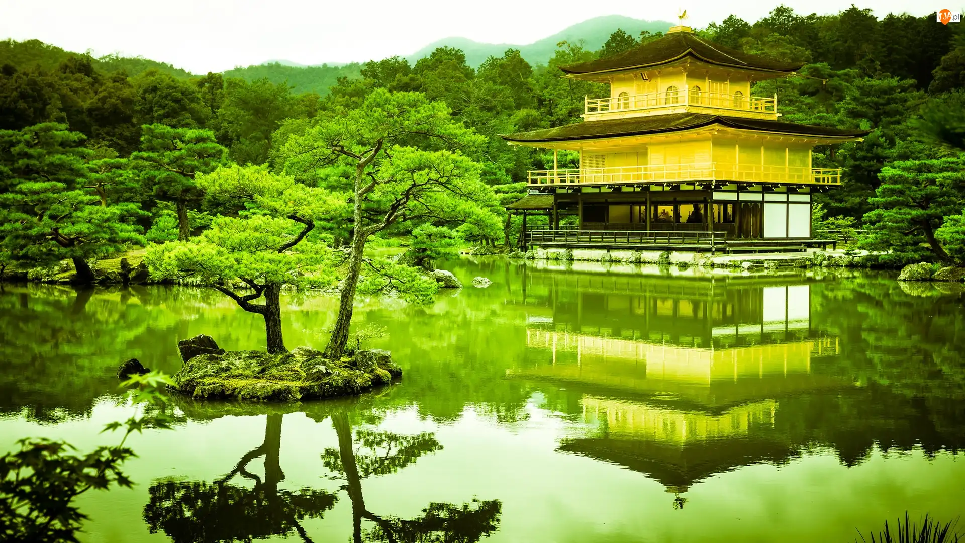 Staw, Drzewa, Japonia, Park, Kioto, Złoty Pawilon, Świątynia Kinkaku-ji