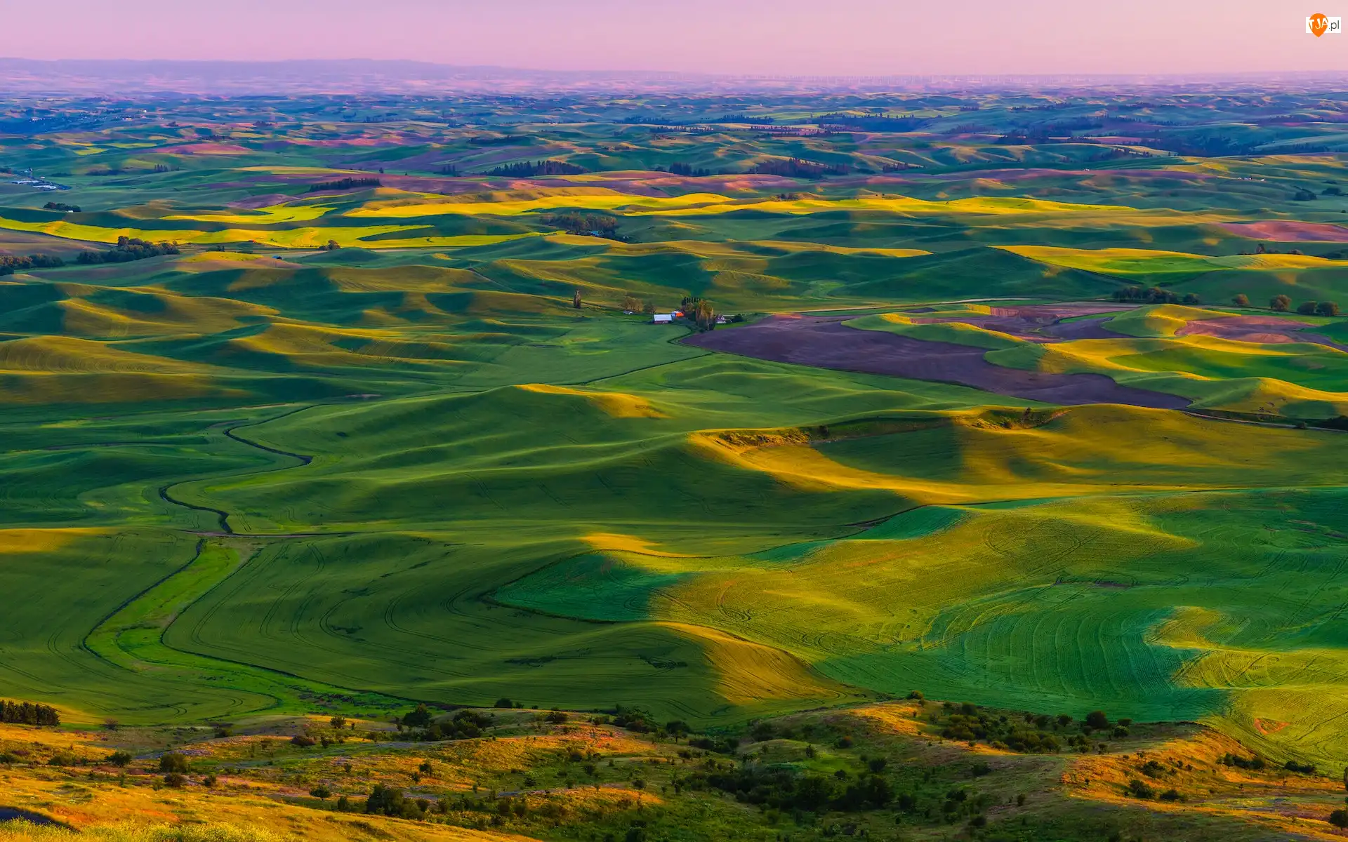 Palouse, Pola, Waszyngton, Stany Zjednoczone, Wzgórza