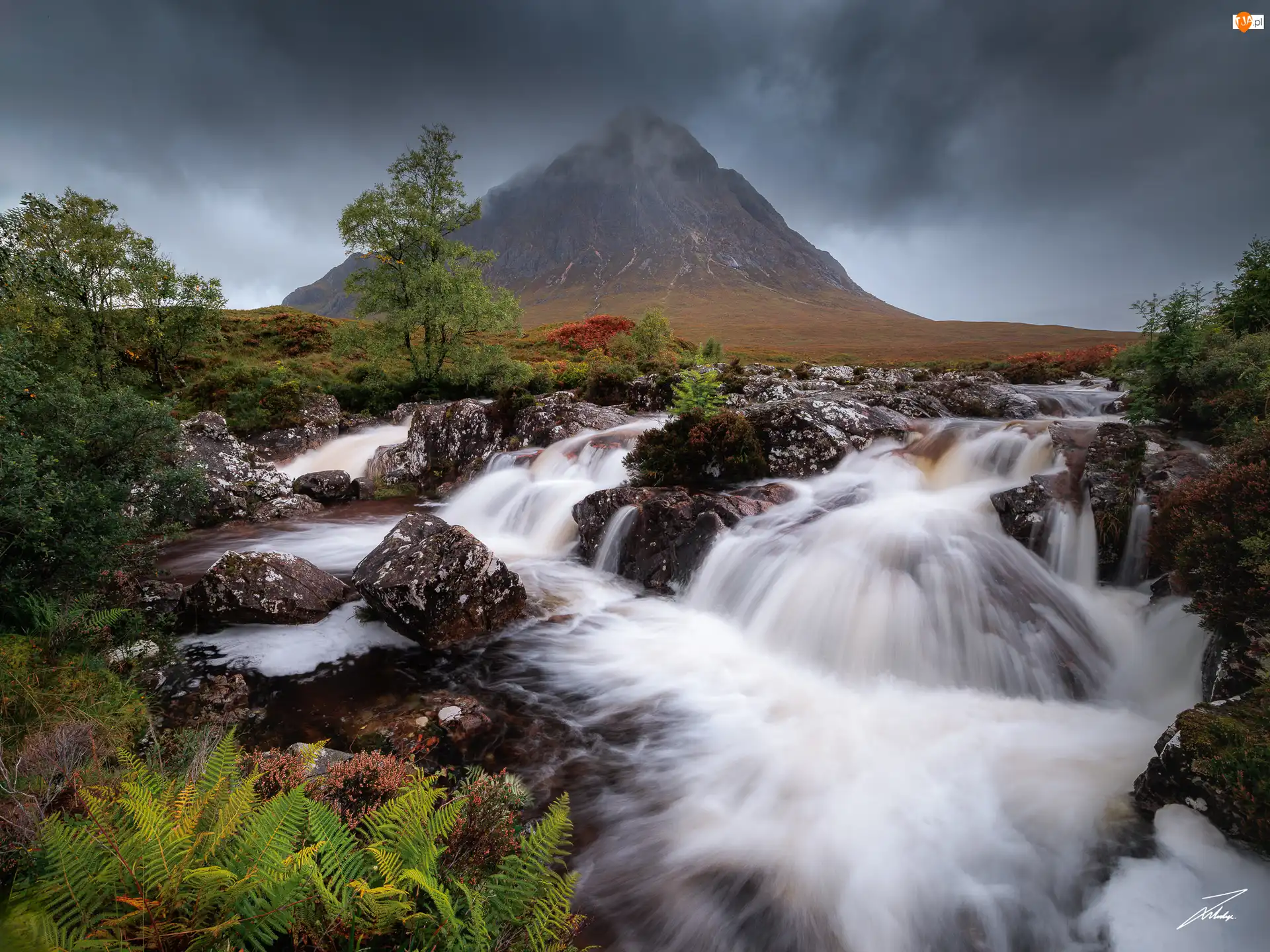 Paprocie, Region Highlands, Drzewa, Rzeka, Kamienie, Góra, Buachaille Etive Mór, Szkocja, Chmury