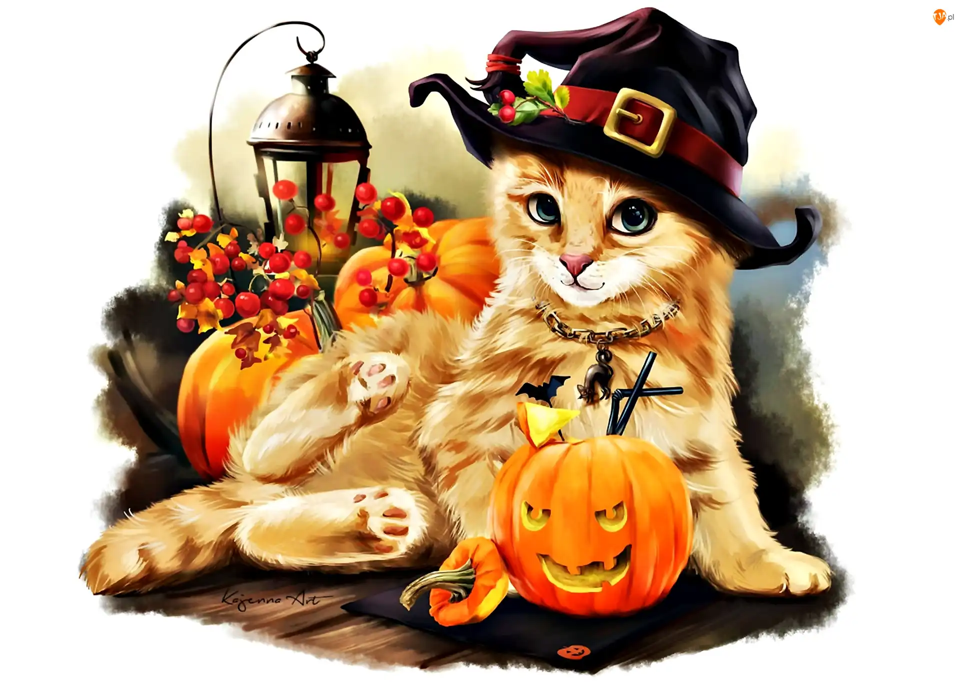Grafika, Kotek, Jesień, Halloween