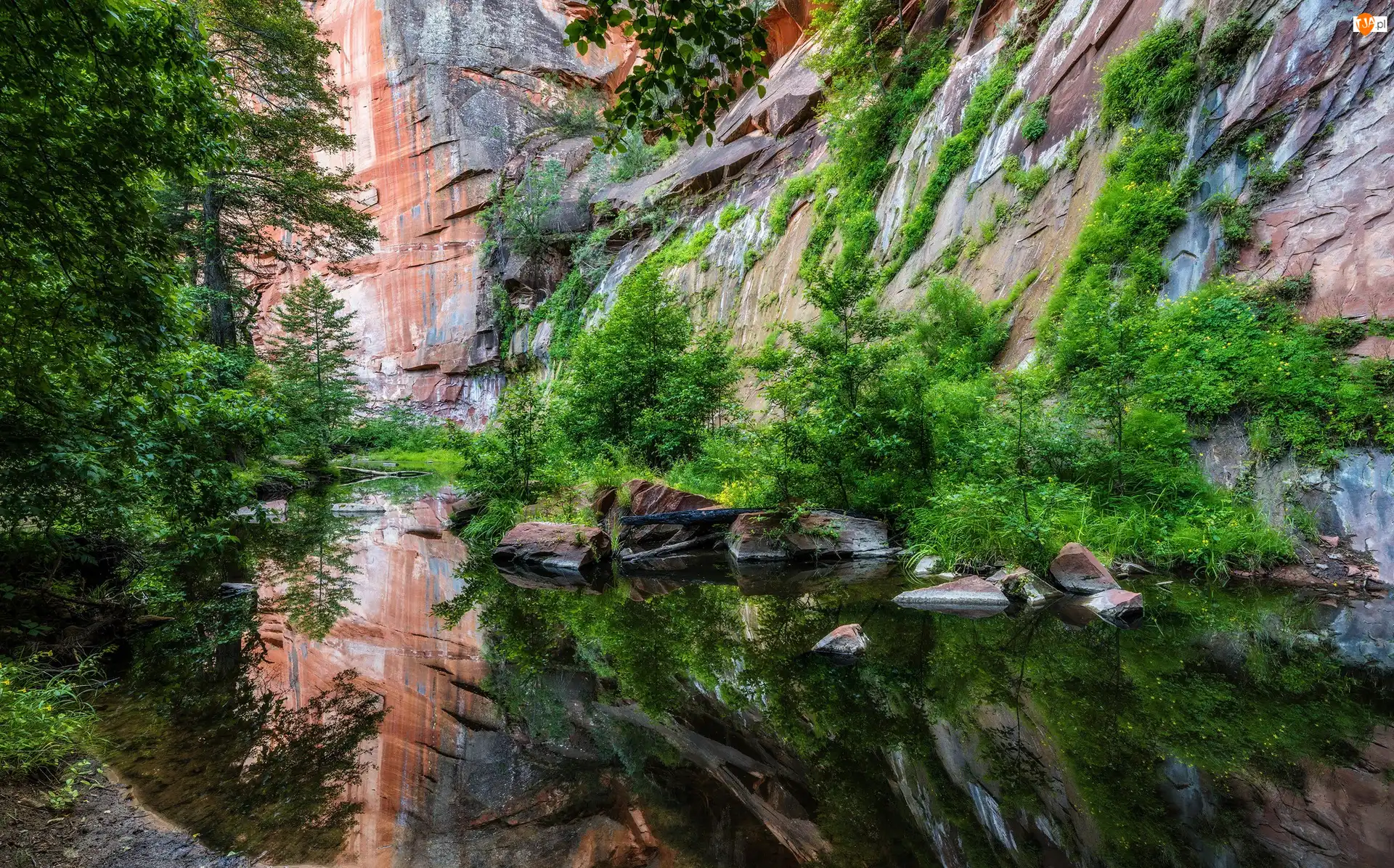 Roślinność, Arizona, Drzewa, Oak Creek, Rzeka, Sedona, Skały, Stany Zjednoczone, Wąwóz