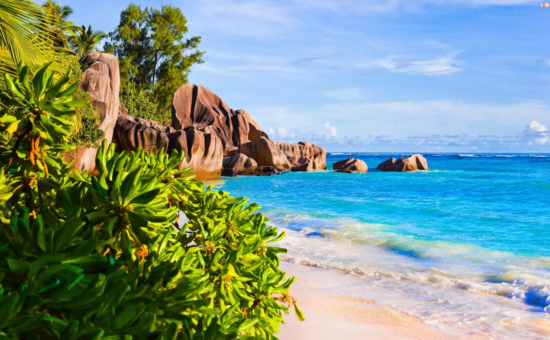 Wyspa La Digue, Seszele, Morze, Roślinność, Plaża Anse Source dArgent, Skały