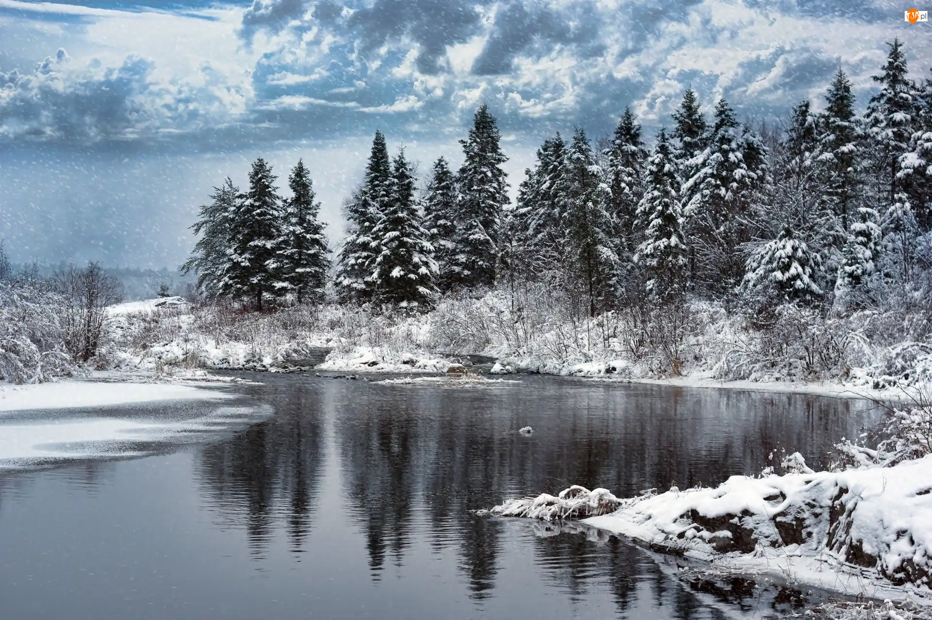 Jezioro, Zima, Las