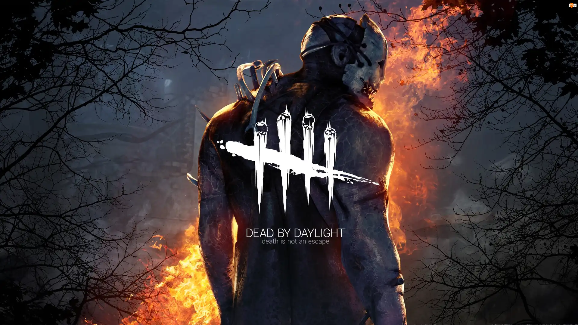 Mężczyzna, Ogień, Dead by Daylight, Gra, Maska