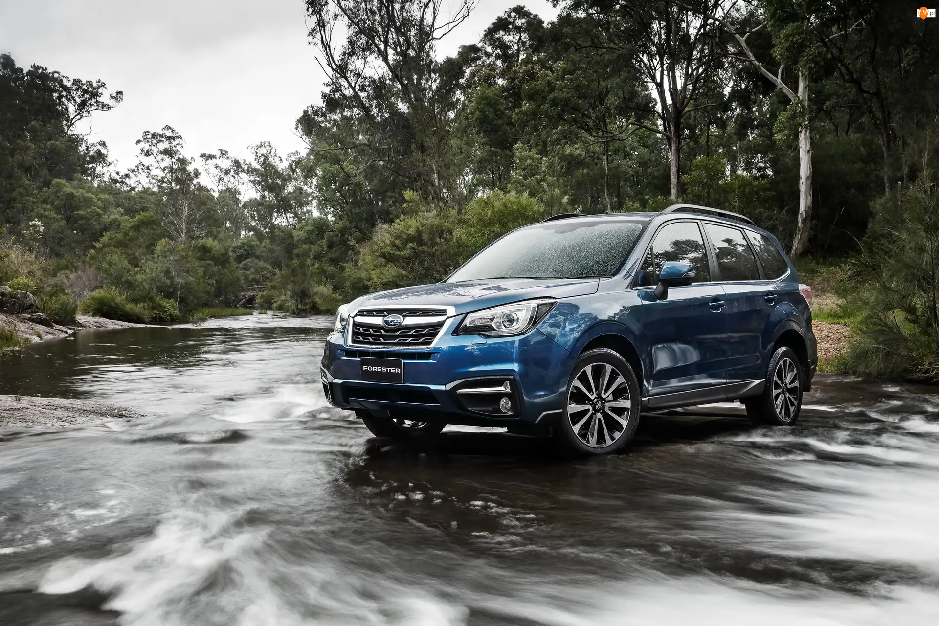 2016, Subaru Forester 2.5i-S