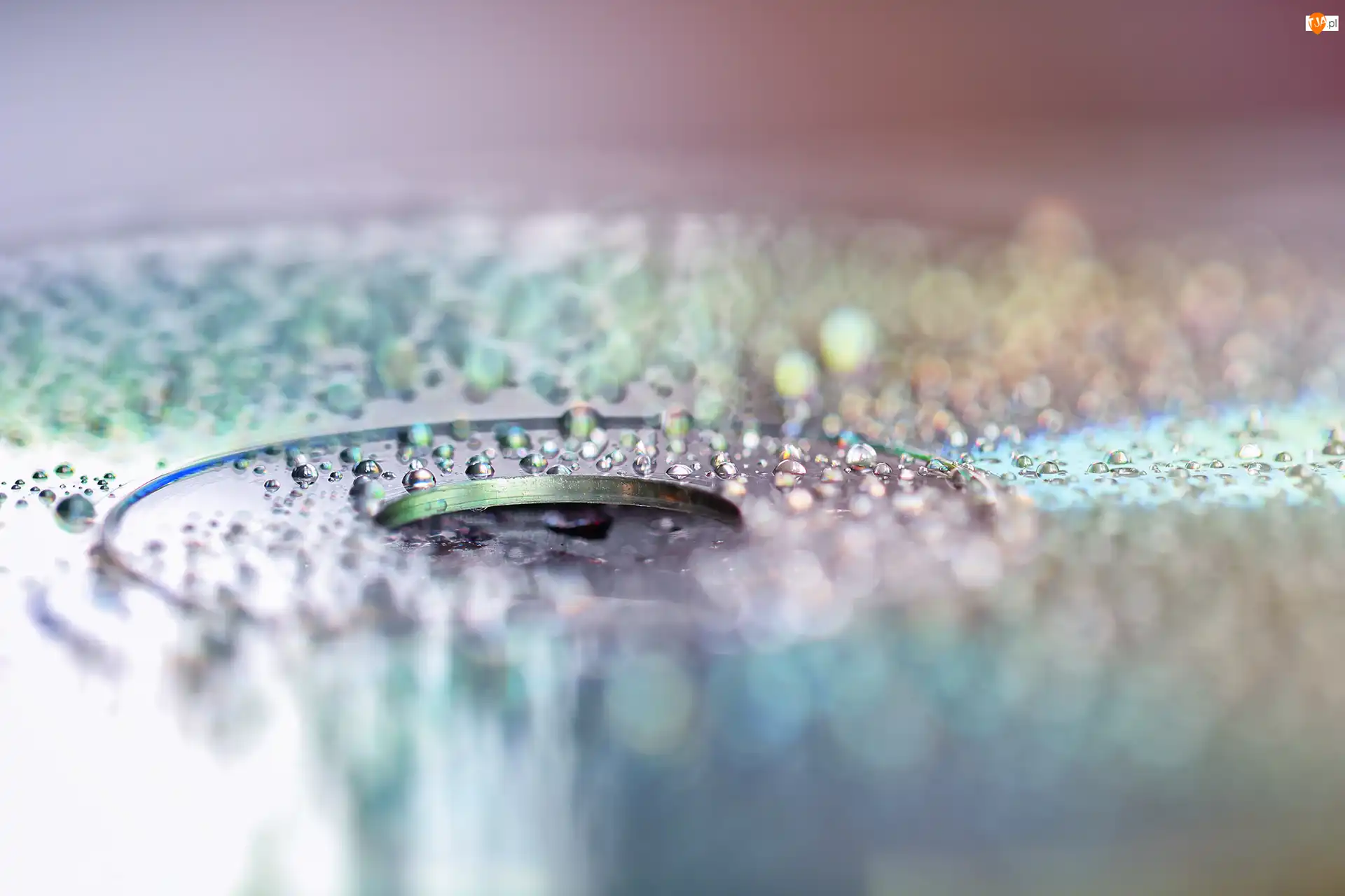 Makro, Płyta kompaktowa, Krople, Bokeh