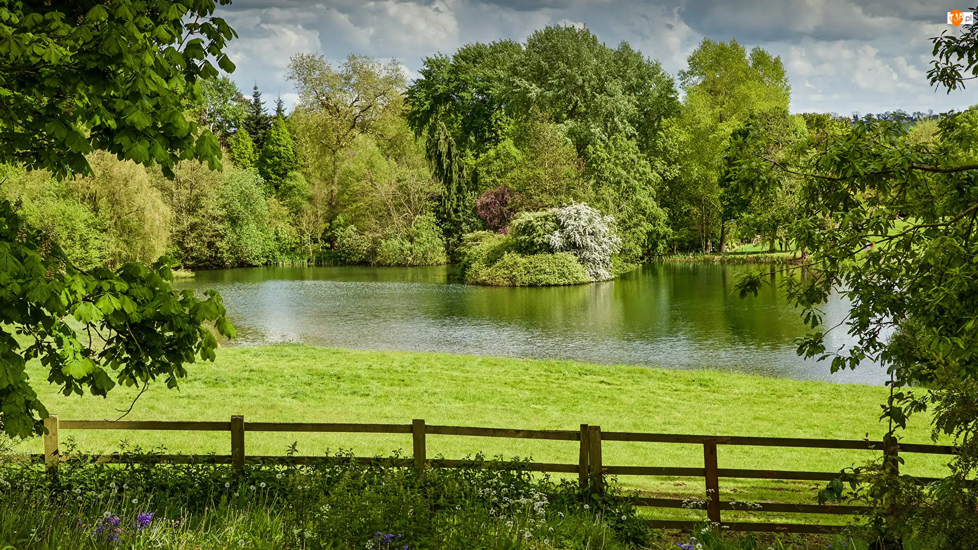 Wieś Thenford, Park, Ogrodzenie, Anglia, Krzewy, Drzewa, Jezioro
