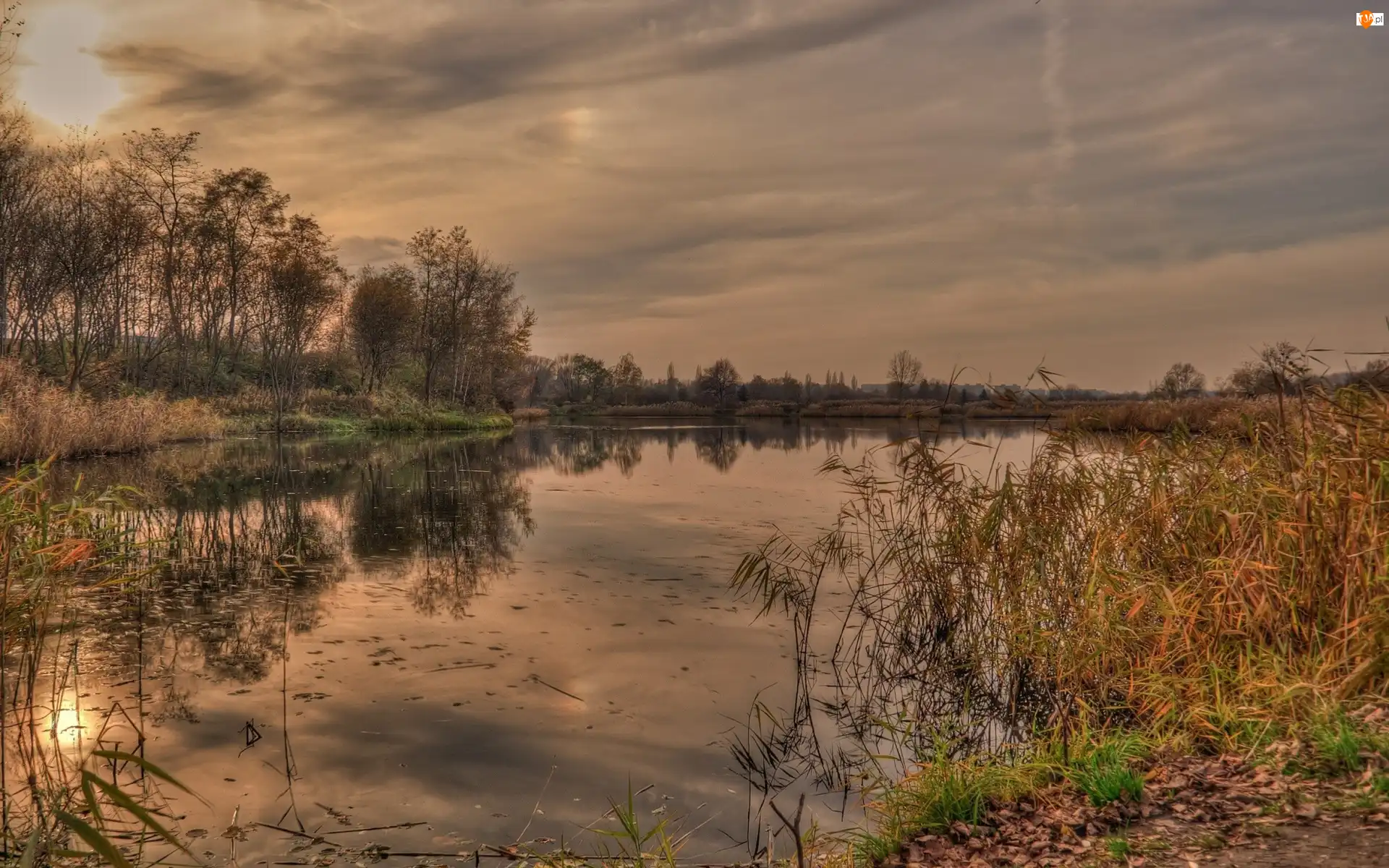 Roślinność, Zachód, Słońca, Jezioro