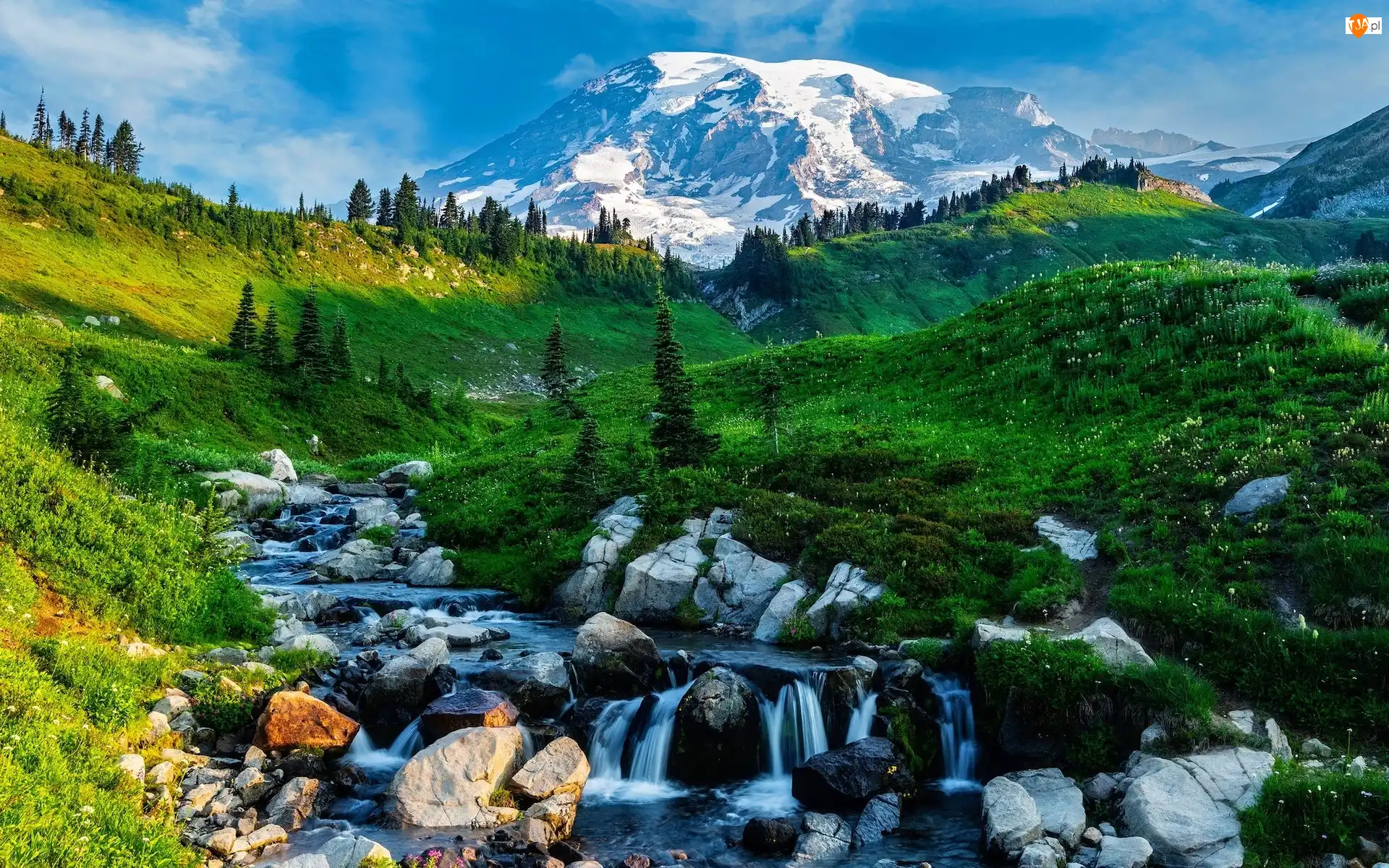 Drzewa, Góra, Kamienie, Łąka, Potok, Mount Rainier, Park Narodowy Mount Rainier, Stany Zjednoczone, Dolina