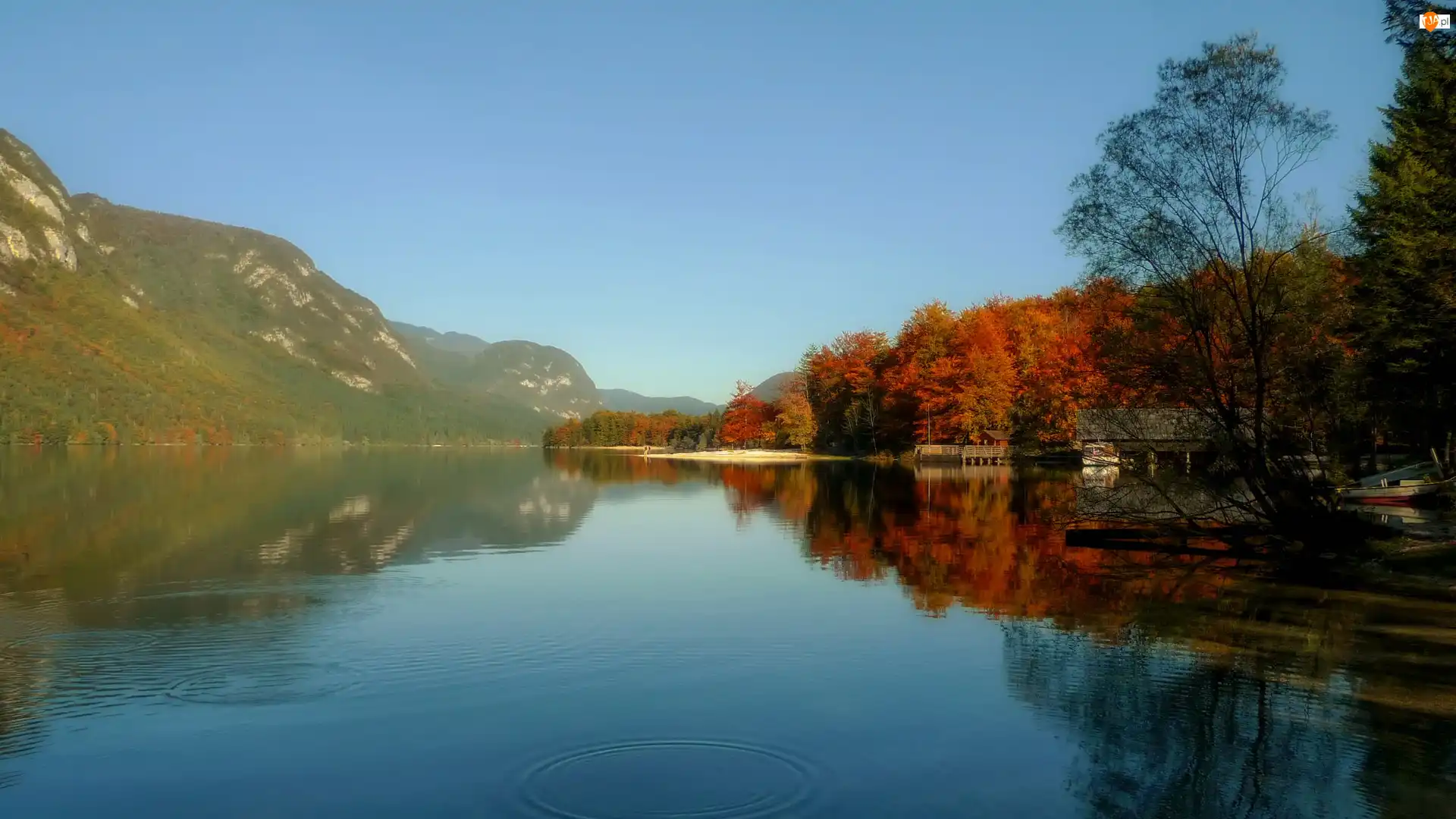 Odbicie, Jezioro Bohinj, Słowenia, Jesień