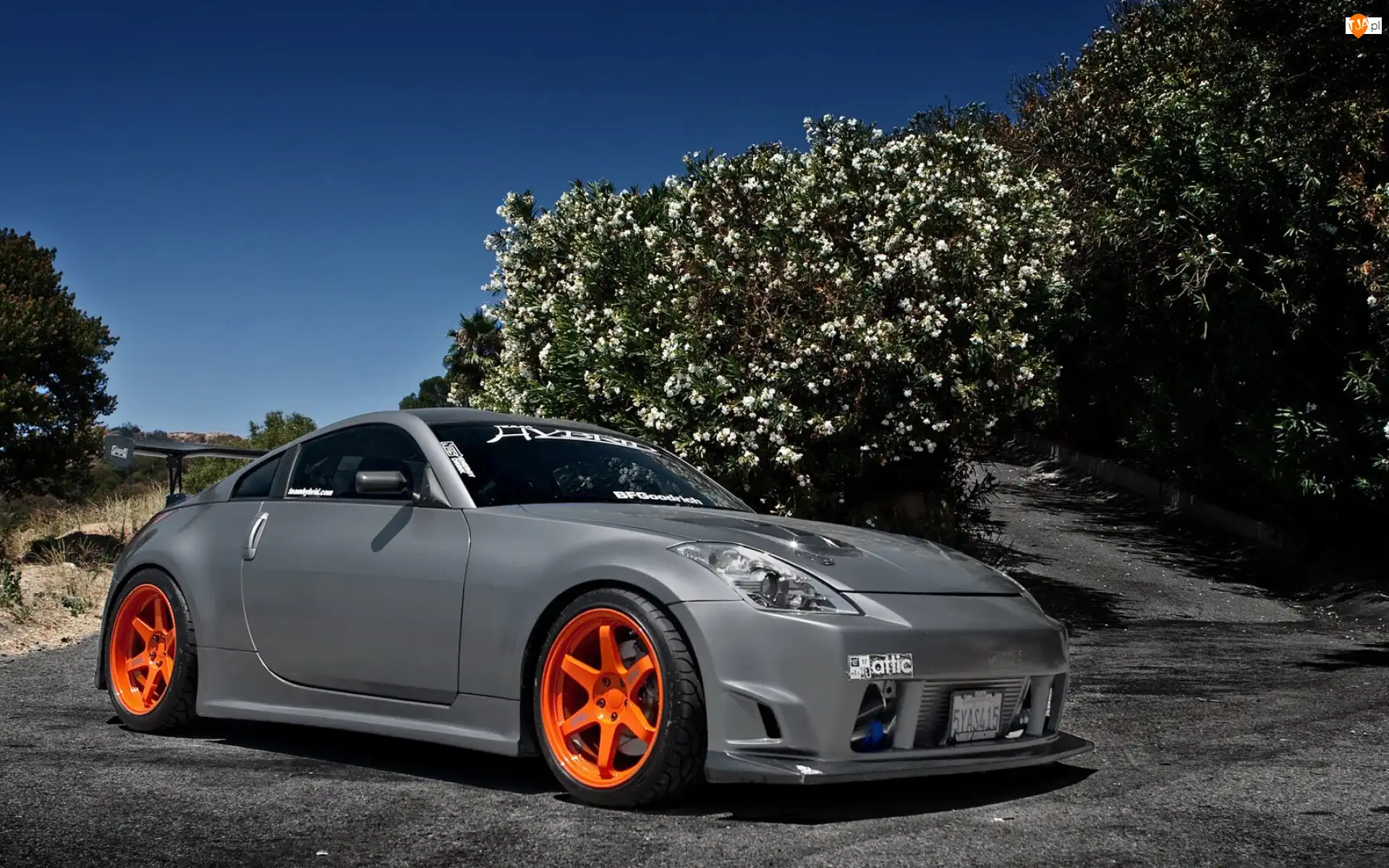 350Z, Drzewa, Nissan, Samochód, Kwitnące