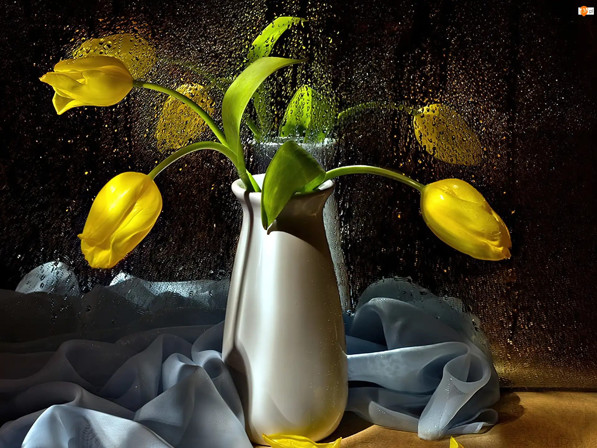 Wody, Żółte, Tulipany, Krople