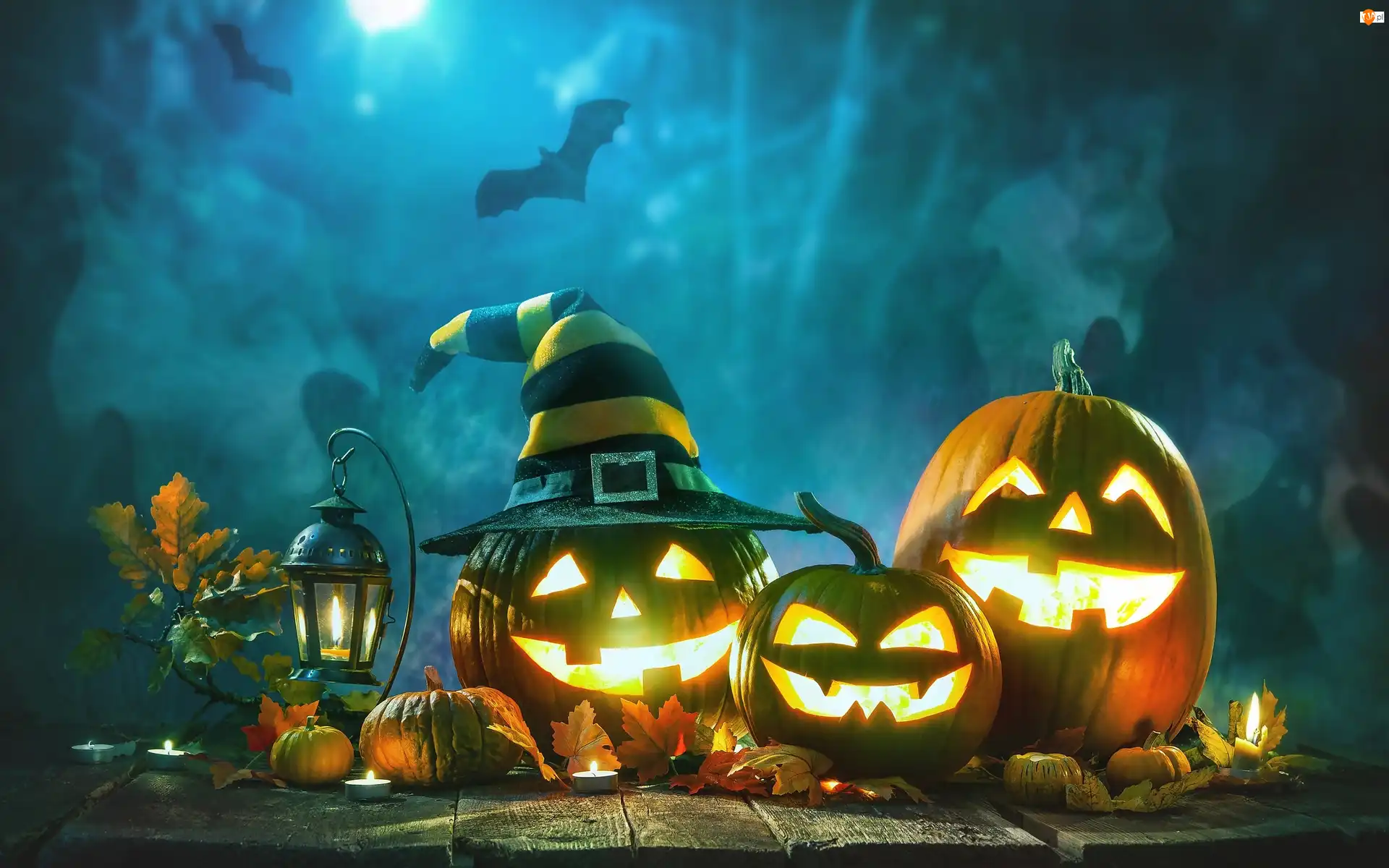 Lampion, Dynie, Nietoperze, Halloween, Liście, Noc