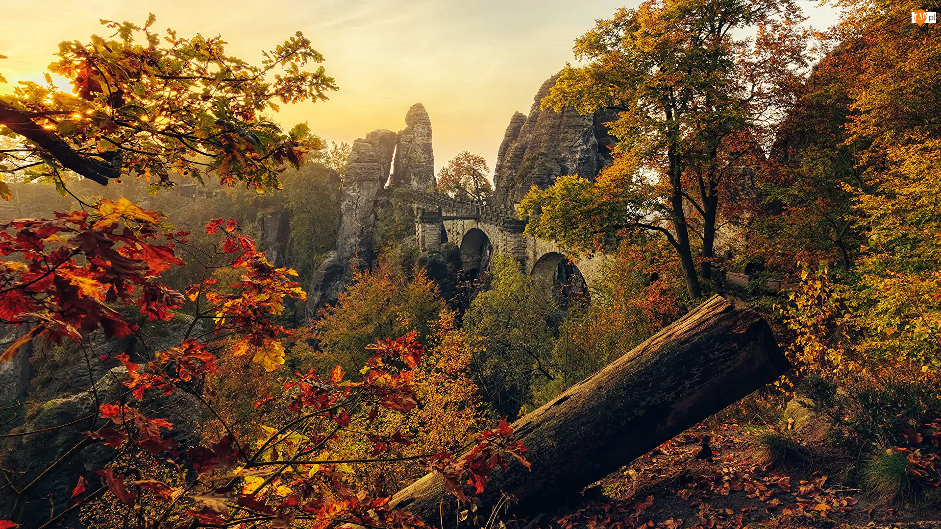 Góry Połabskie, Jesień, Formacja skalna, Park Narodowy Saskiej Szwajcarii, Drzewa, Bastei, Niemcy, Skały