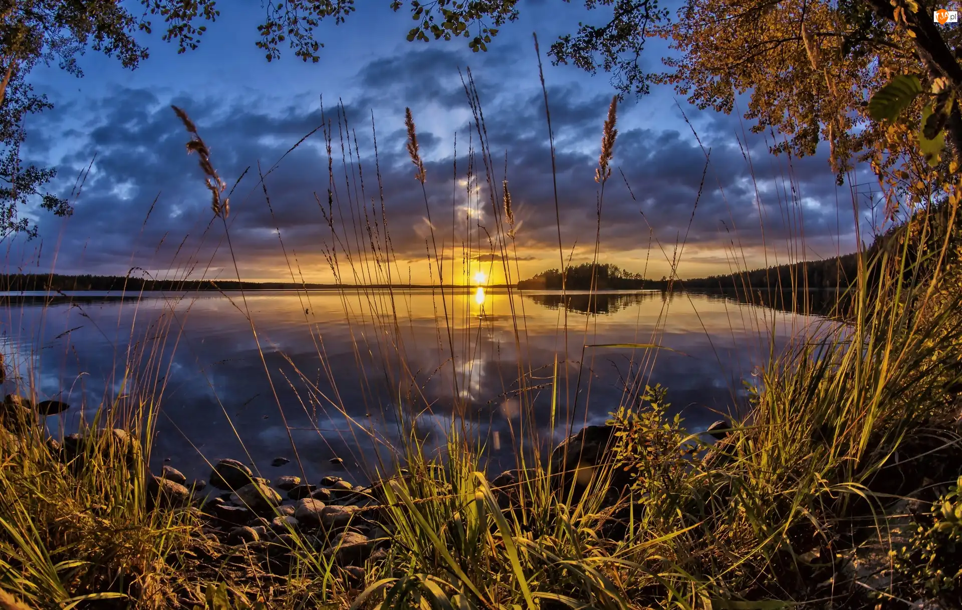 Zachód słońca, Jezioro, Szuwary