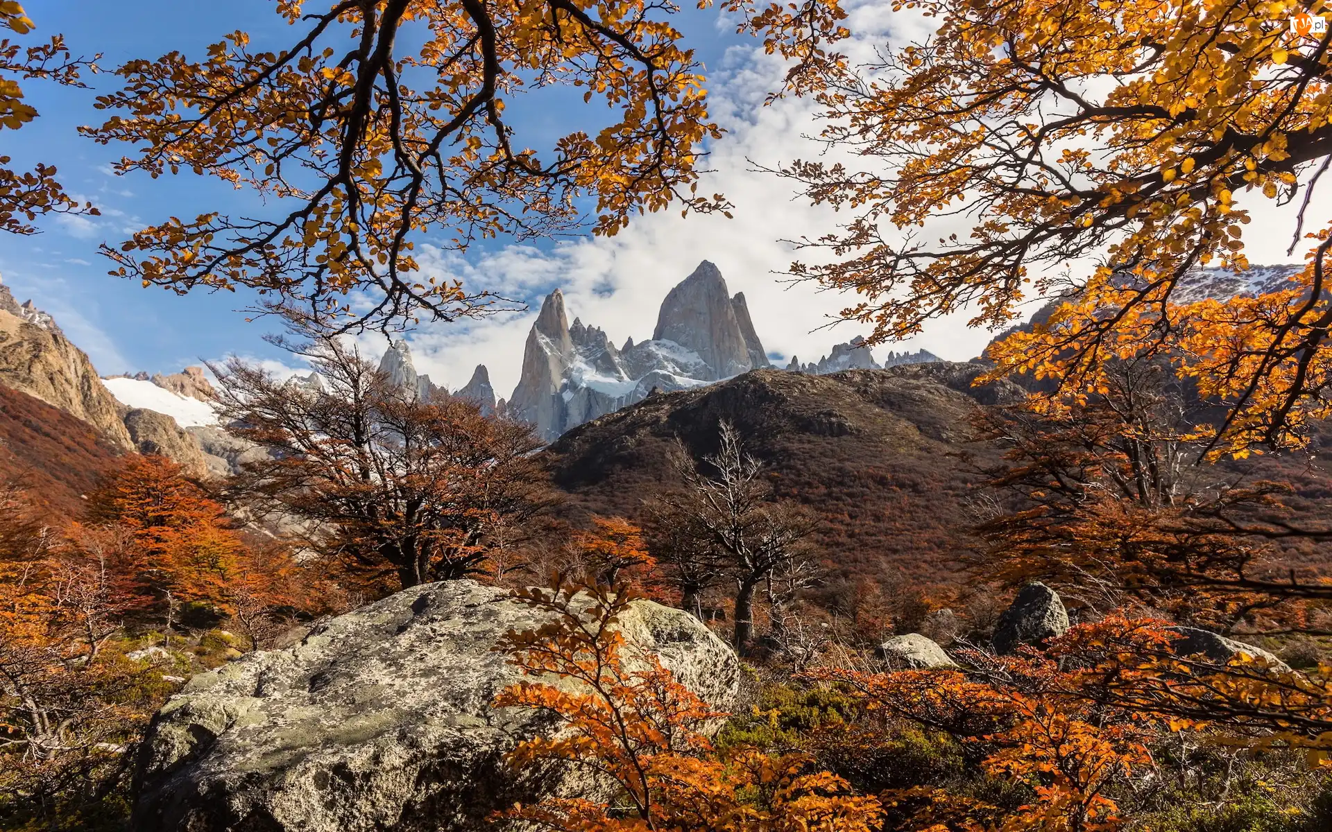 Patagonia, Góry Andy, Skały, Argentyna, Jesień, Drzewa, Szczyt Fitz Roy