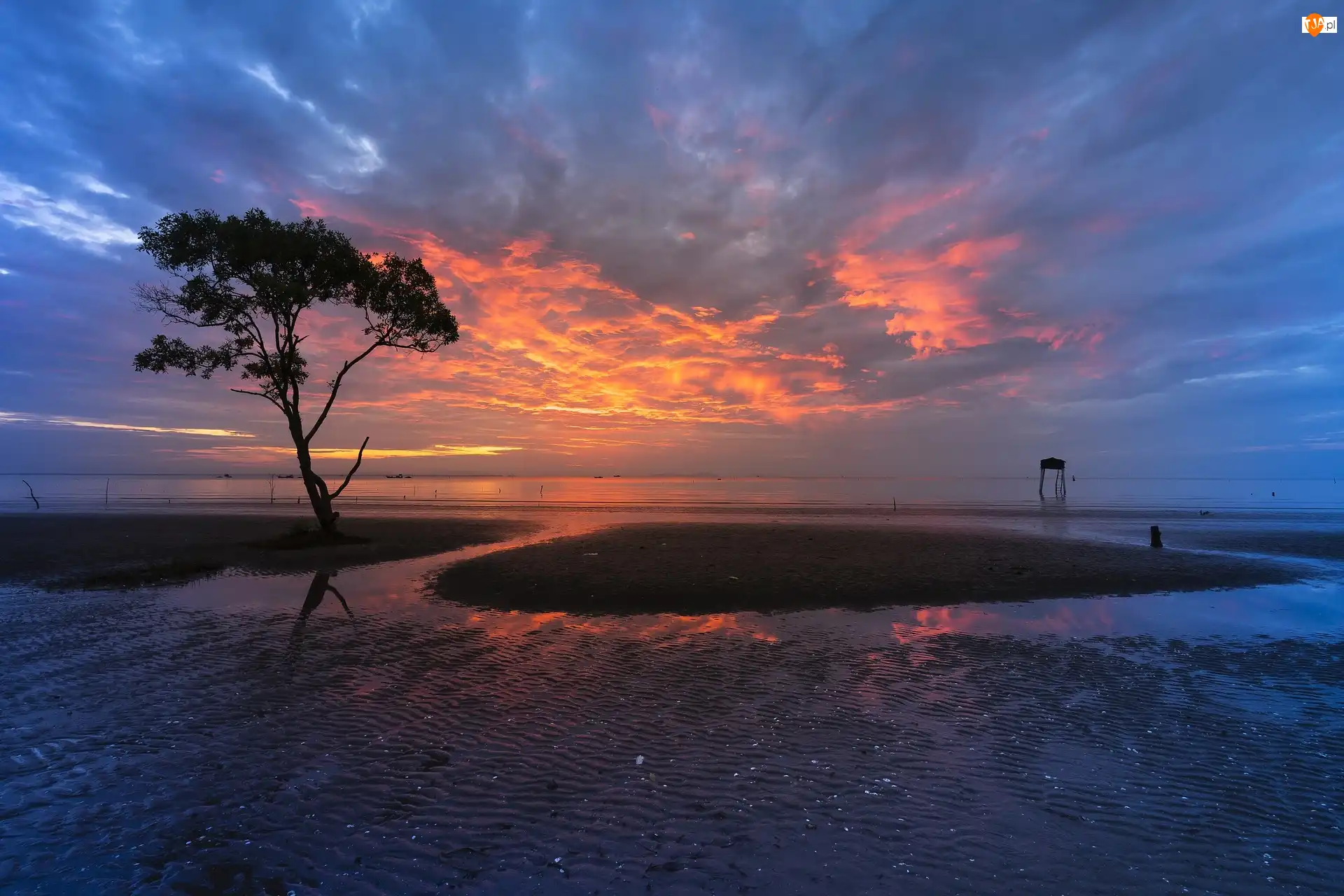 Zachód słońca, Kolorowe, Plaża, Morze, Drzewo, Chmury, Niebo
