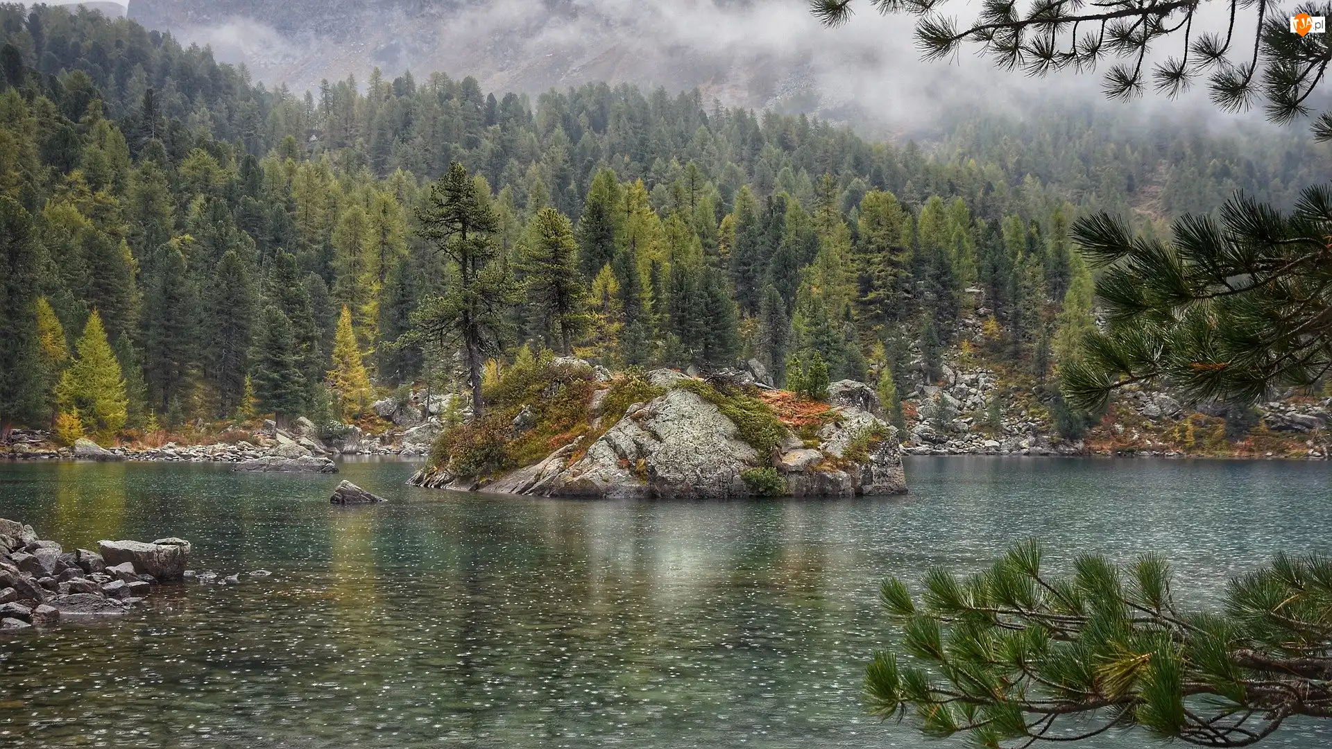 Skała, Wysepka, Szwajcaria, Jezioro Bergsee, Kanton Berno, Las, Drzewa