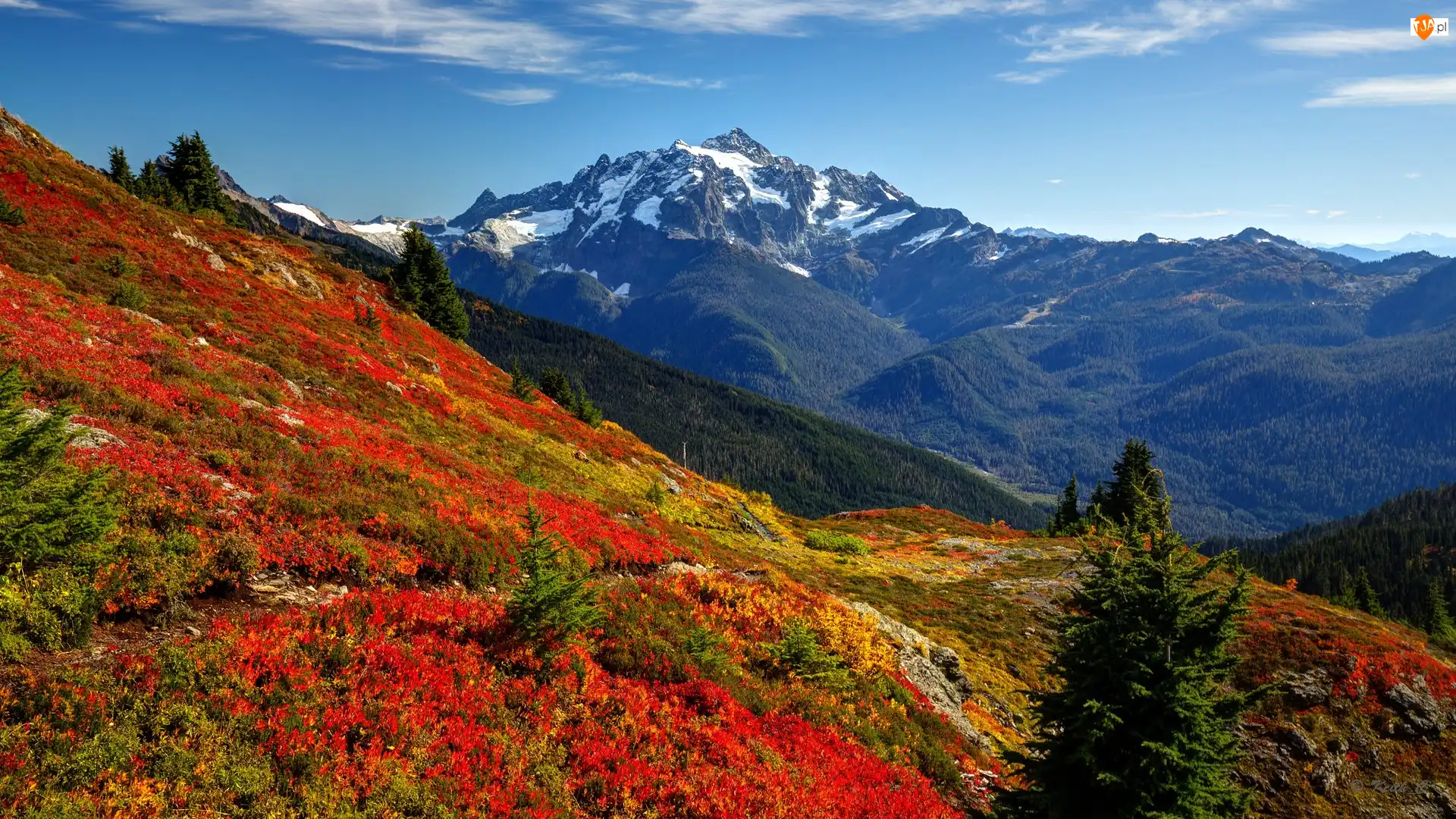 Stany Zjednoczone, Rośliny, Park Narodowy Północnych Gór Kaskadowych, Kolorowe, Góra, Góry, Drzewa, Mount Shuksan, Łąka, Stan Waszyngton