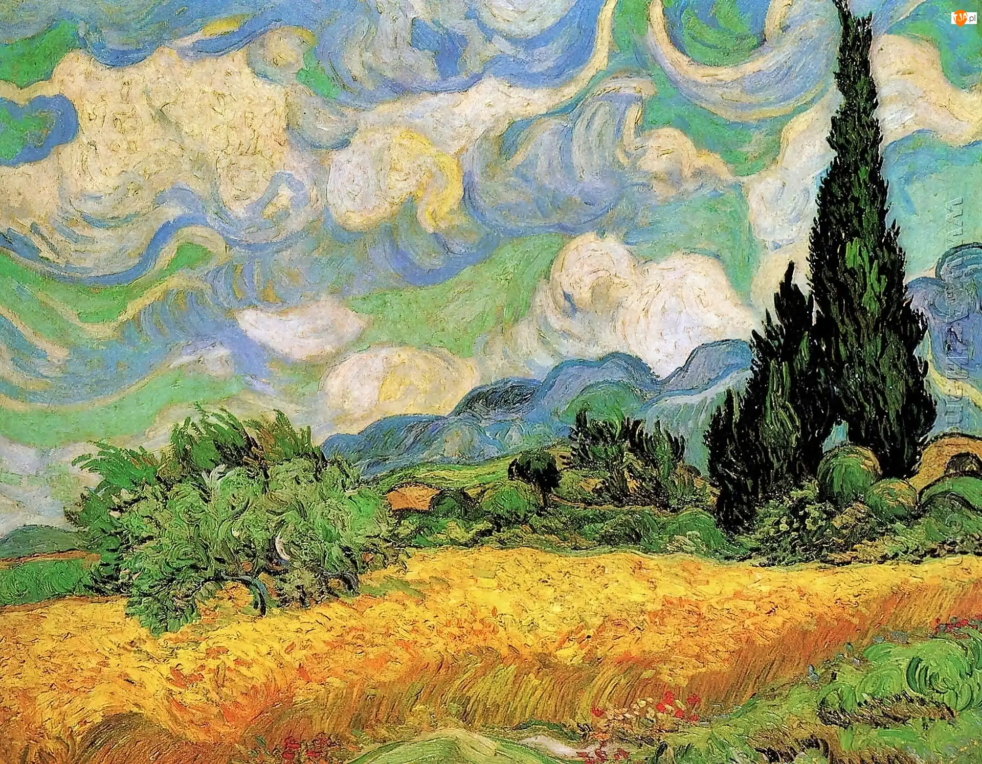Pole, Vincent, Van Gogh