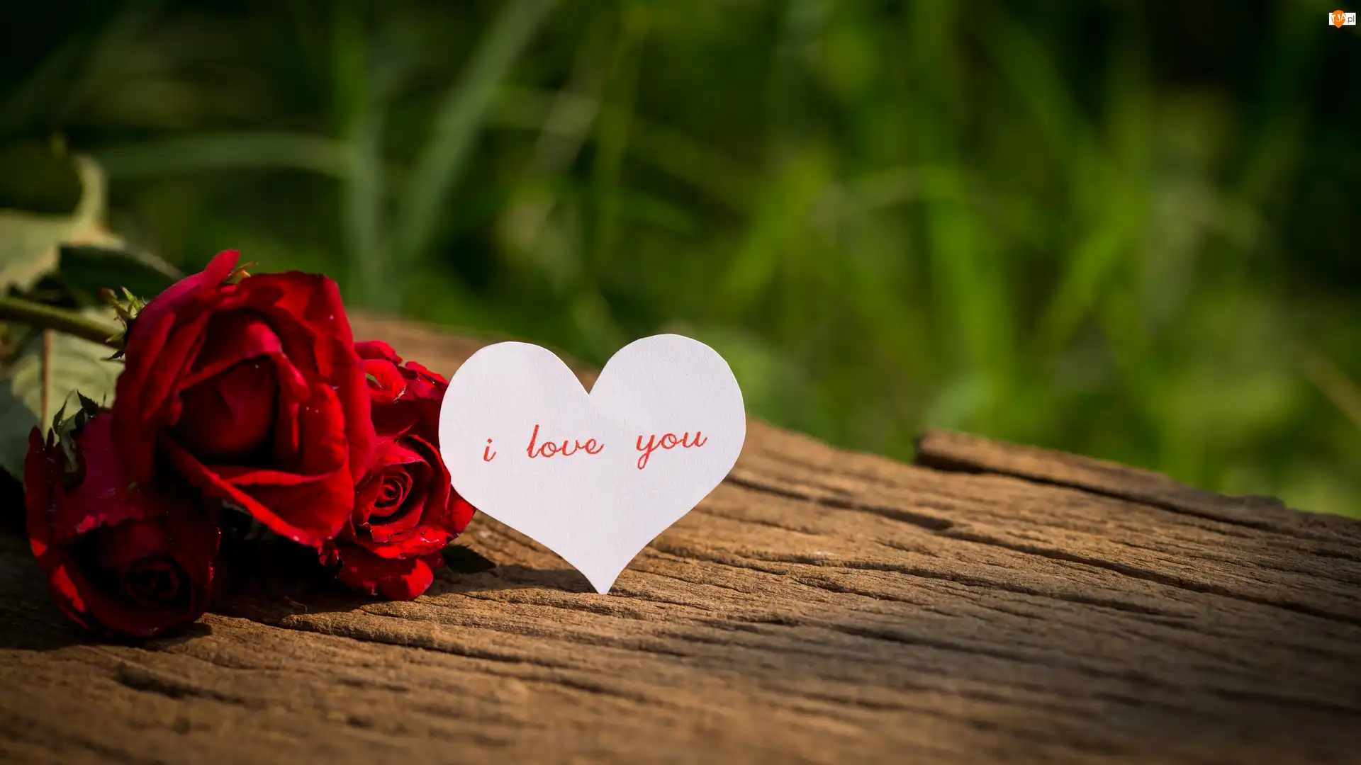 Napis, Miłosne, Serce, Róże, I love you