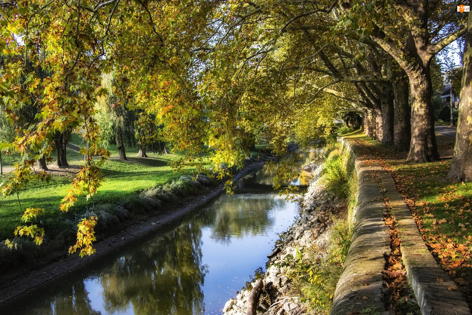Drzewa, Kanał, Rzeka, Park