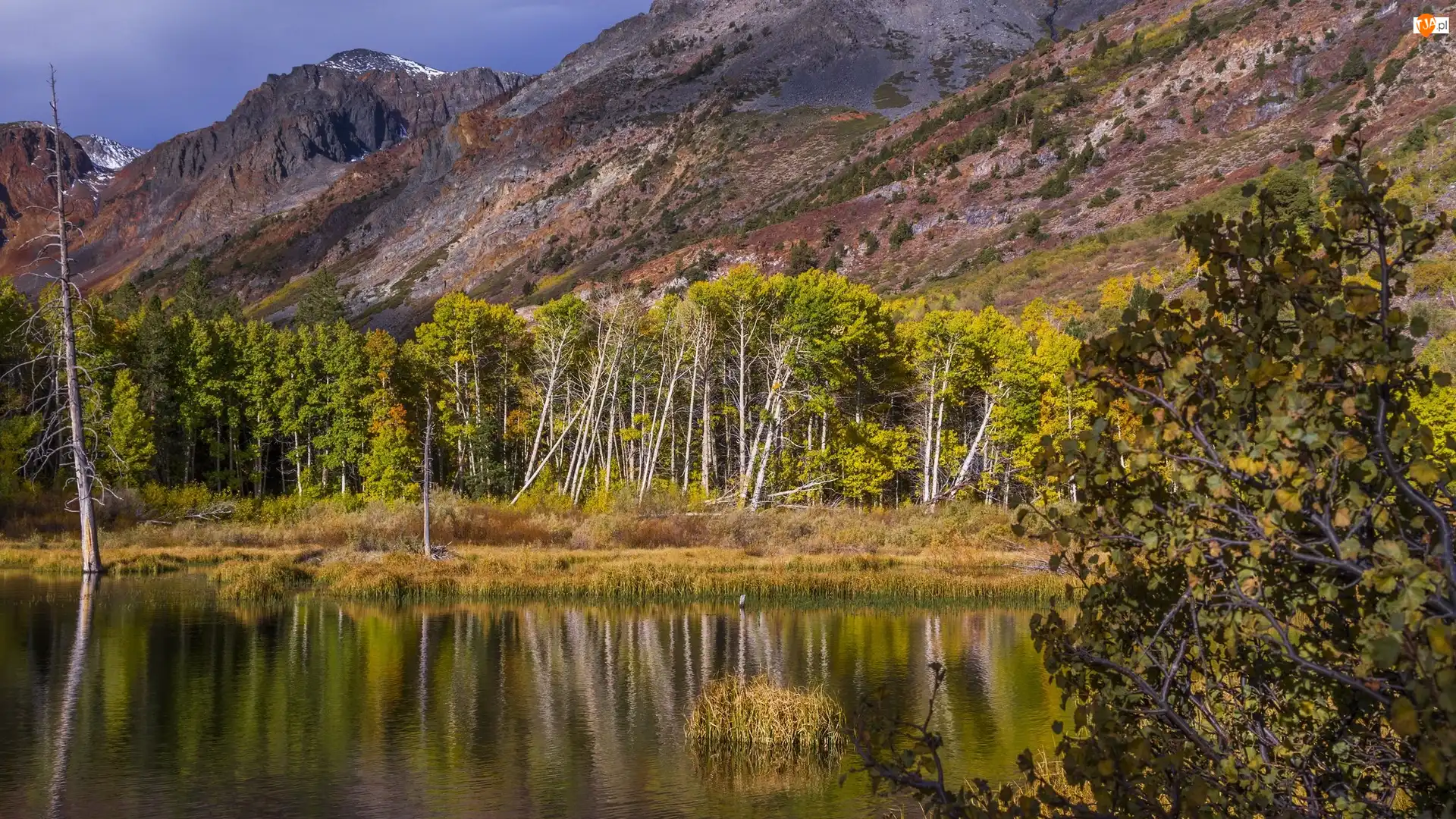 Jezioro Lundy Lake, Drzewa, Kalifornia, Stany Zjednoczone, Góry