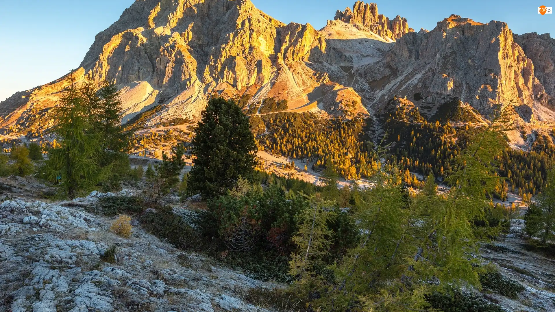 Skały, Włochy, Dolomity, Góry, Drzewa