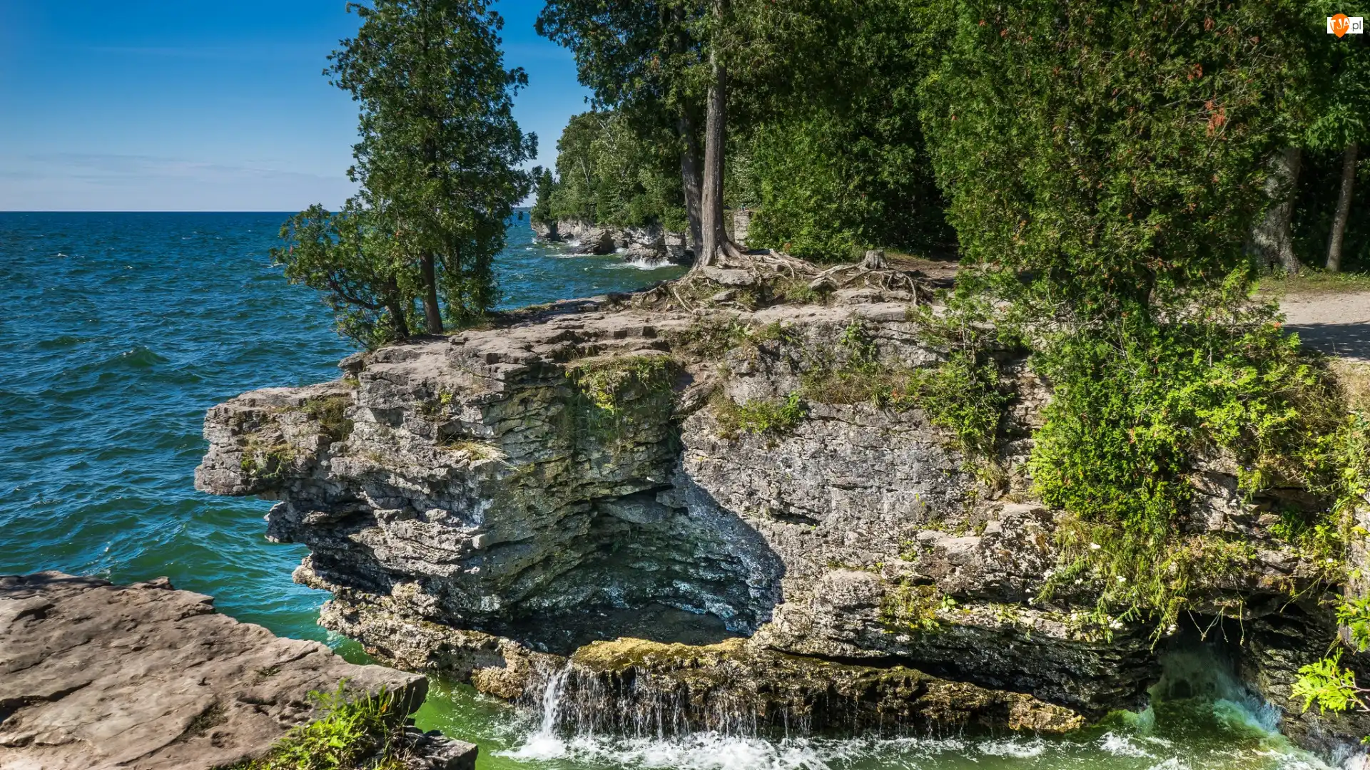 Cave Point County Park, Drzewa, Jezioro Michigan, Stan Wisconsin, Jezioro, Park, Stany Zjednoczone, Skały