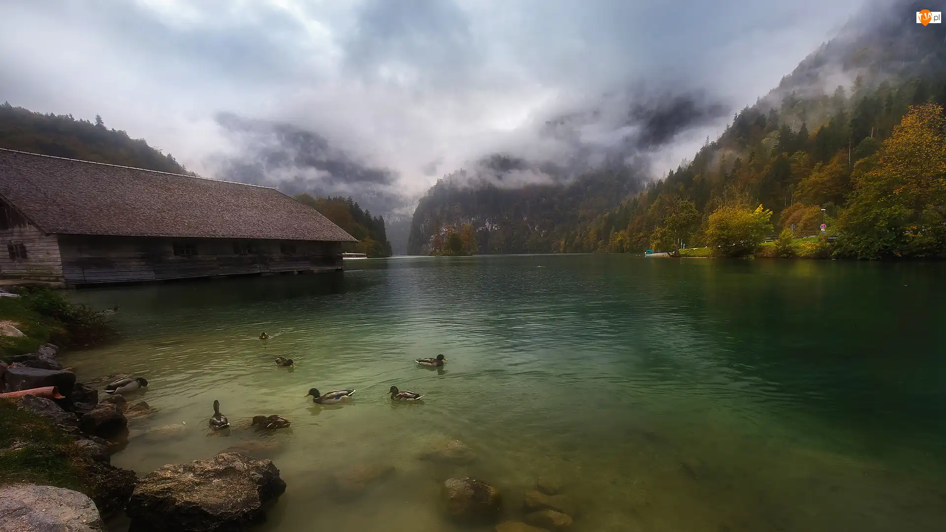 Mgła, Niemcy, Alpy Berchtesgadeńskie, Dom, Bawaria, Góry, Kaczki, Jezioro Königssee