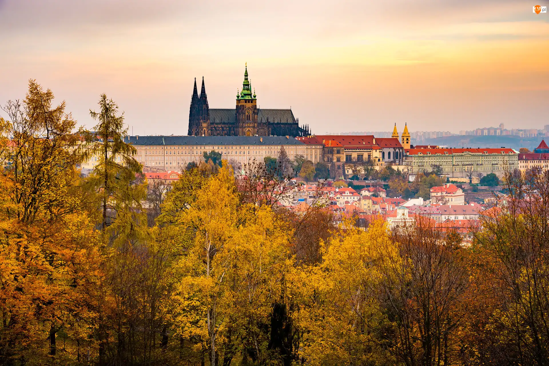 Hradczany, Praga, Zamek Na Hradczanach, Domy, Czechy, Katedra Świętych Wita Wacława i Wojciecha, Jesień, Panorama