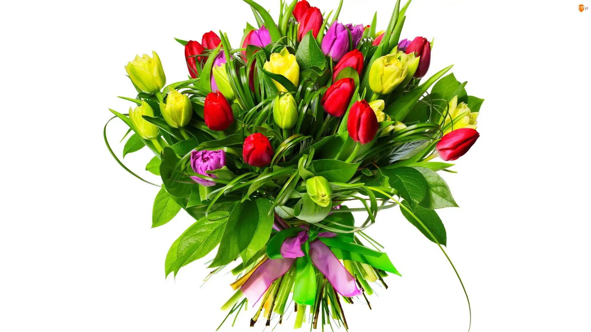Tulipany, Kwiaty, Bukiet