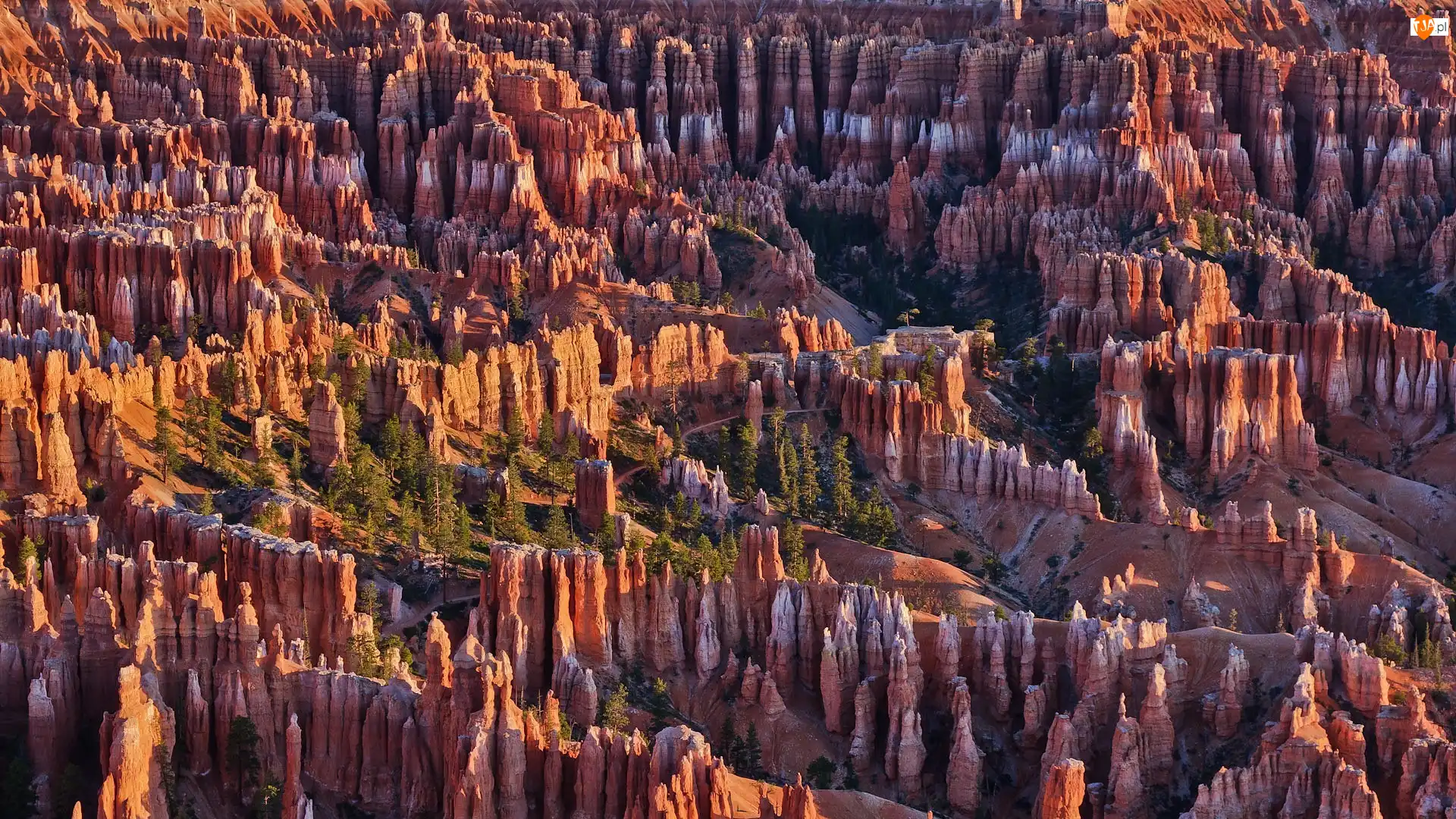 Park Narodowy Bryce Canyon, Stany Zjednoczone, Kanion, Skały, Stan Utah
