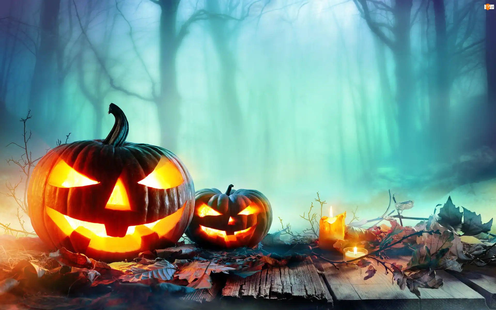 Dynie, Świece, Rozmyte tło, Halloween, Mgła, Drzewa, Liście