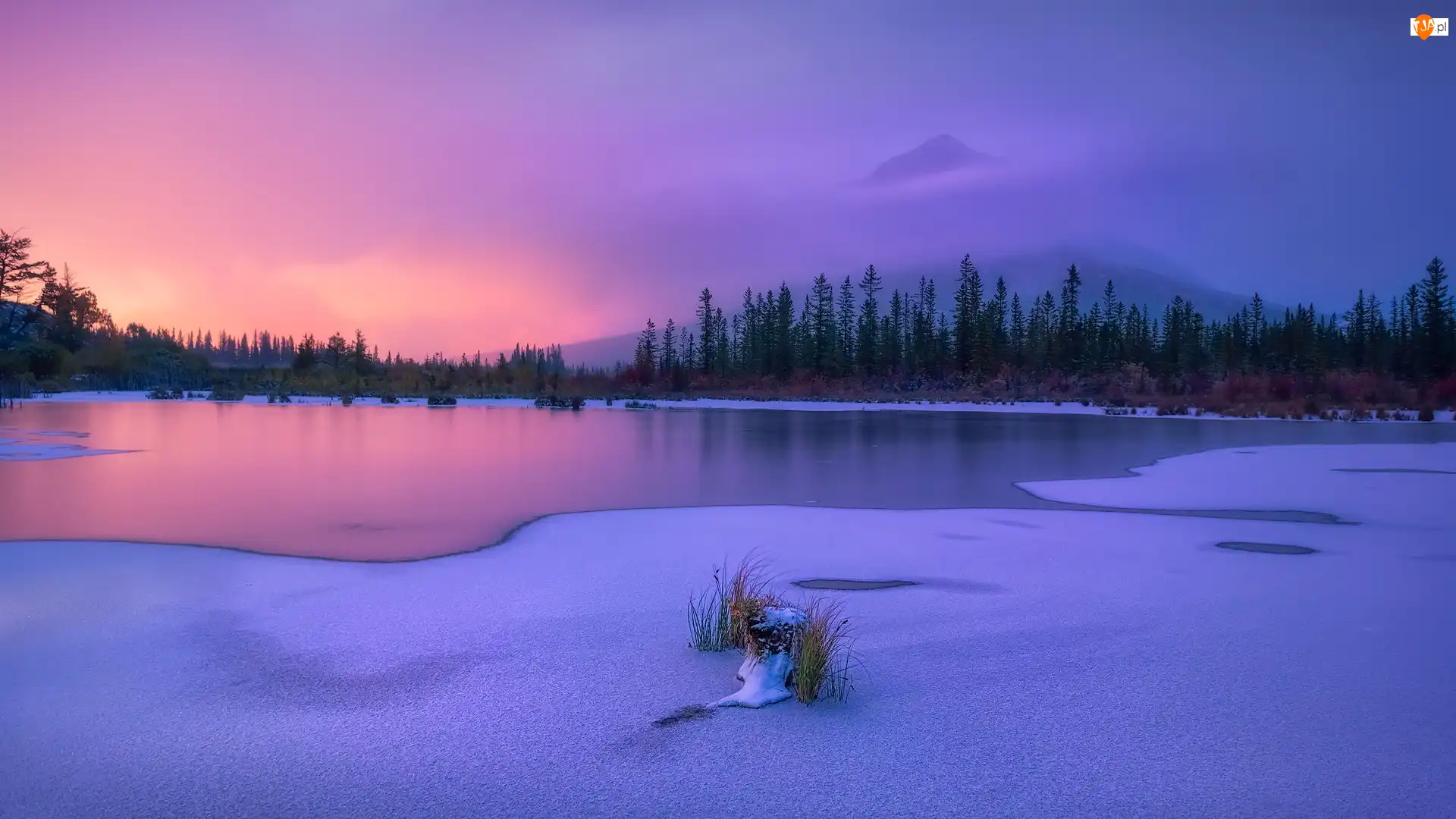 Szczyt, Canadian Rockies, Mgła, Park Narodowy Banff, Jezioro, Alberta, Góry, Zima, Drzewa, Vermilion Lake, Kanada