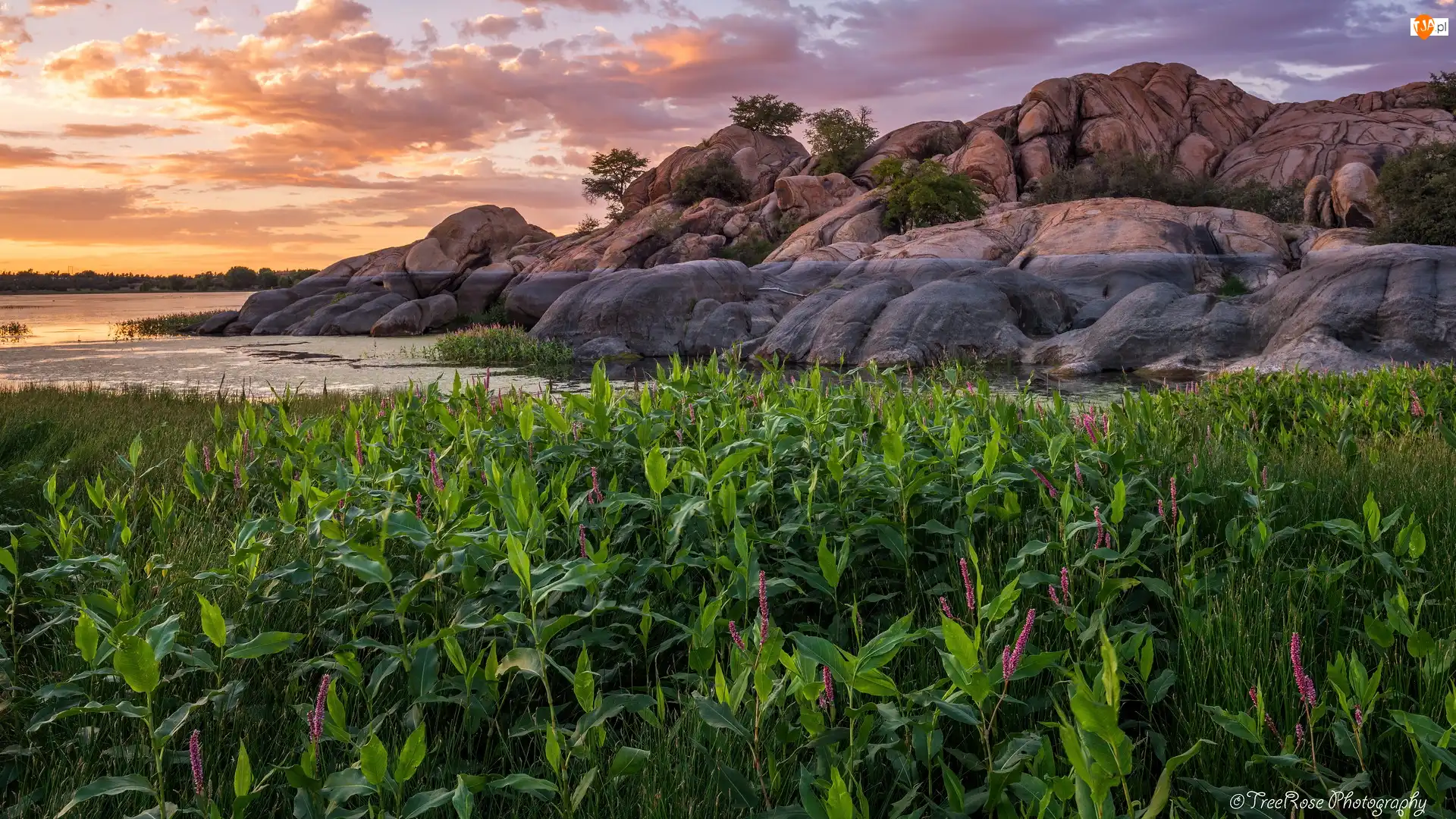 Stany Zjednoczone, Willow Lake, Arizona, Zachód słońca, Prescott, Skały, Roślinność, Jezioro, Drzewa