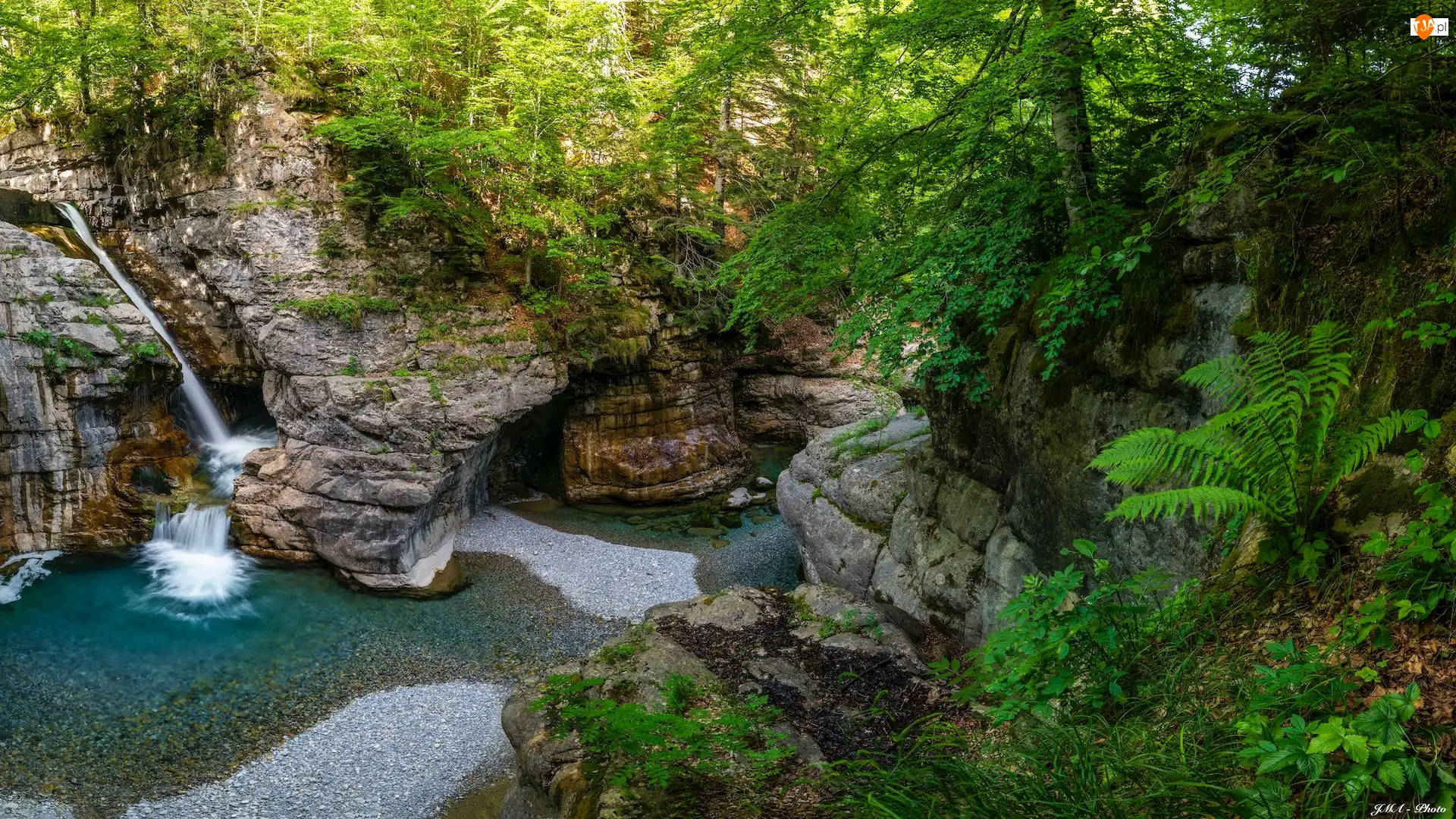 Kanion de Anisclo, Hiszpania, Drzewa, Rzeka, Aragonia, Skały, Bellos River, Park Narodowy Ordesa y Monte Perdido