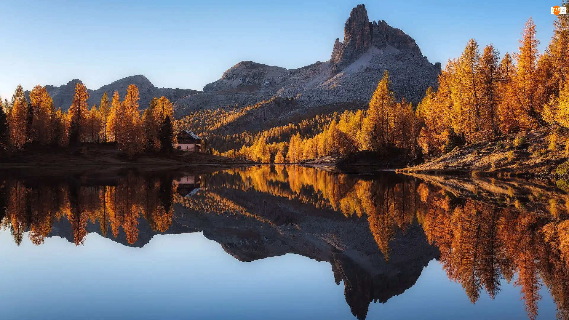 Włochy, Pożółkłe, Drzewa, Las, Góry, Jesień, Jezioro, Dolomity, Lago Federa, Cortina dAmpezzo