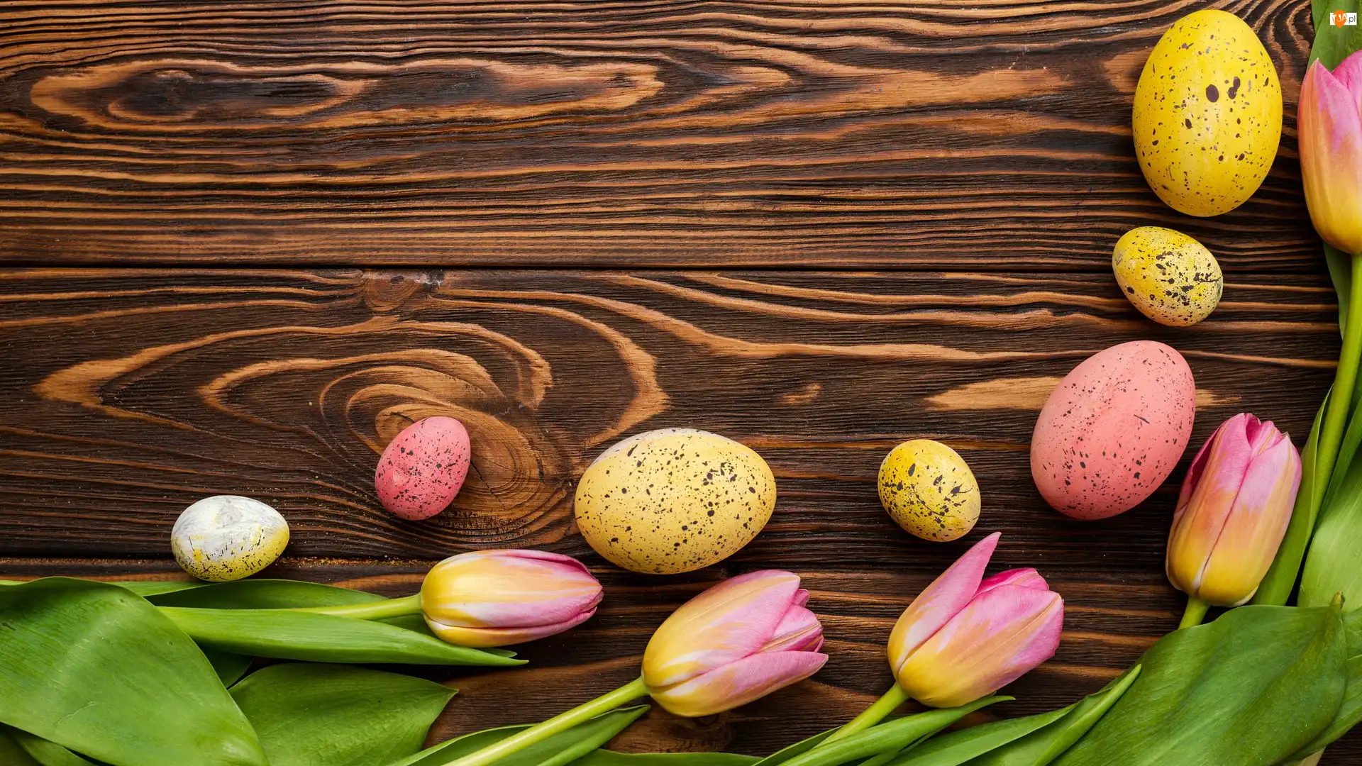 Pisanki, Wielkanoc, Tulipany, Żółto-różowe, Drewno